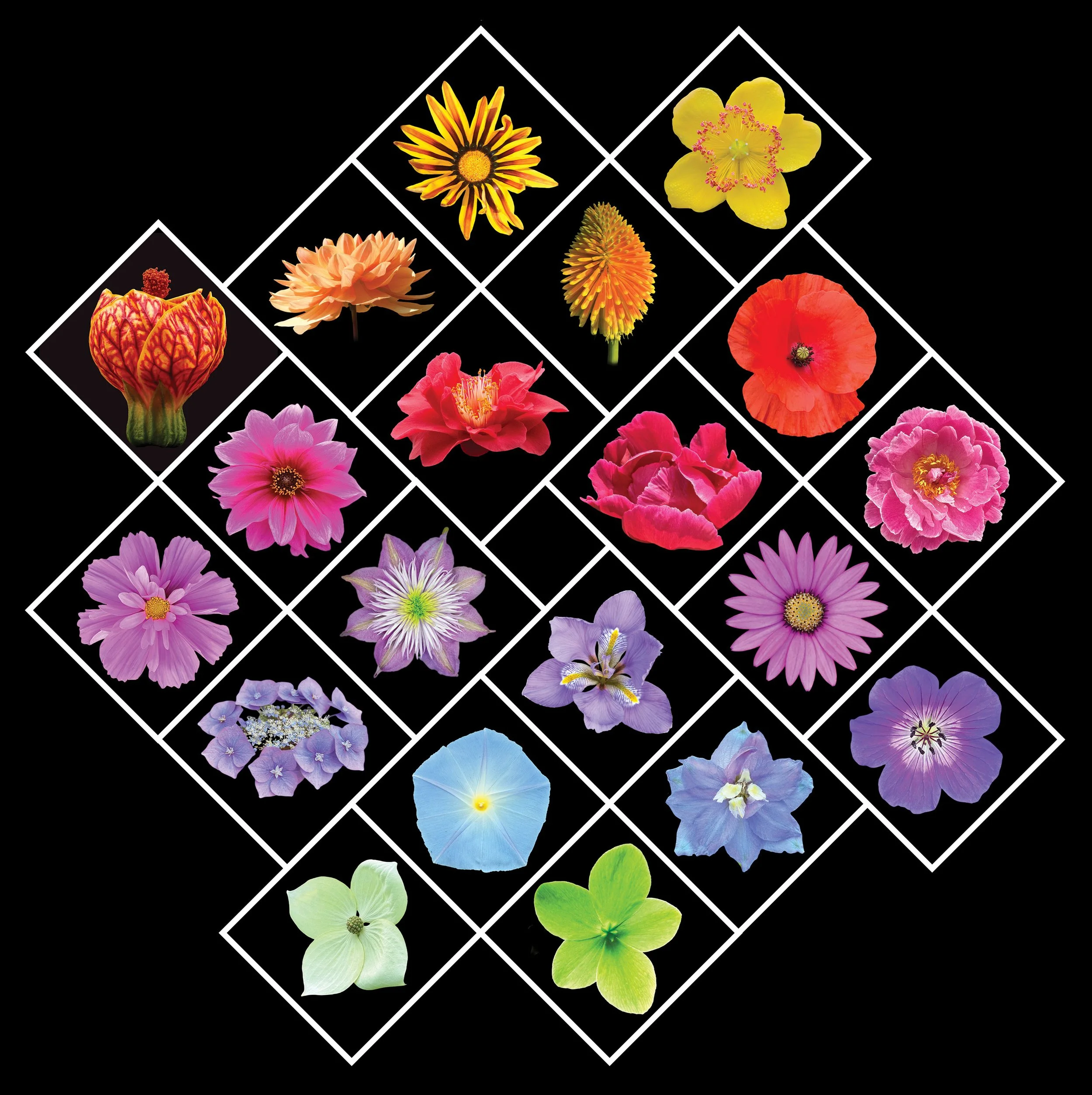 Garden Mosaic.jpg