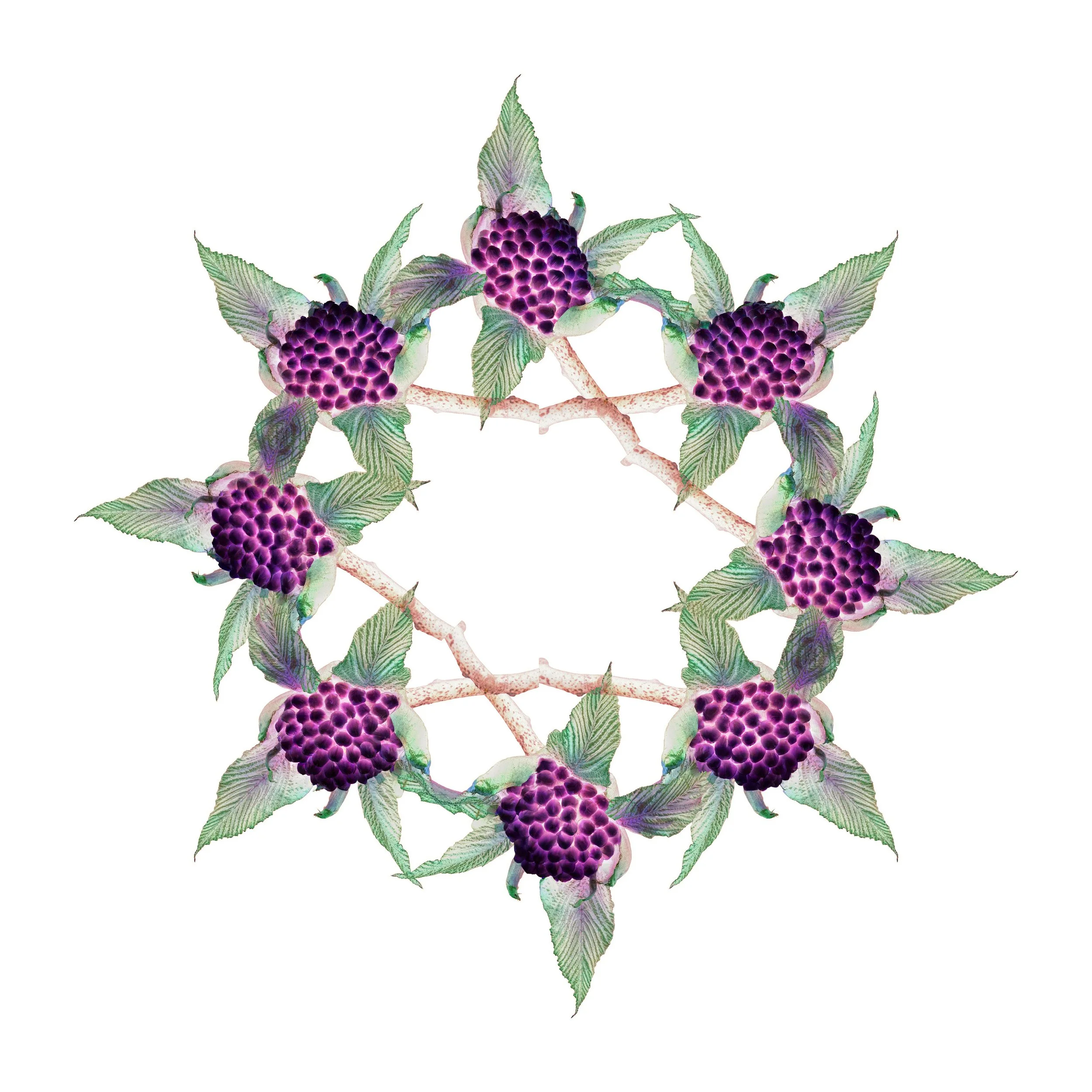 Berry Mandala
