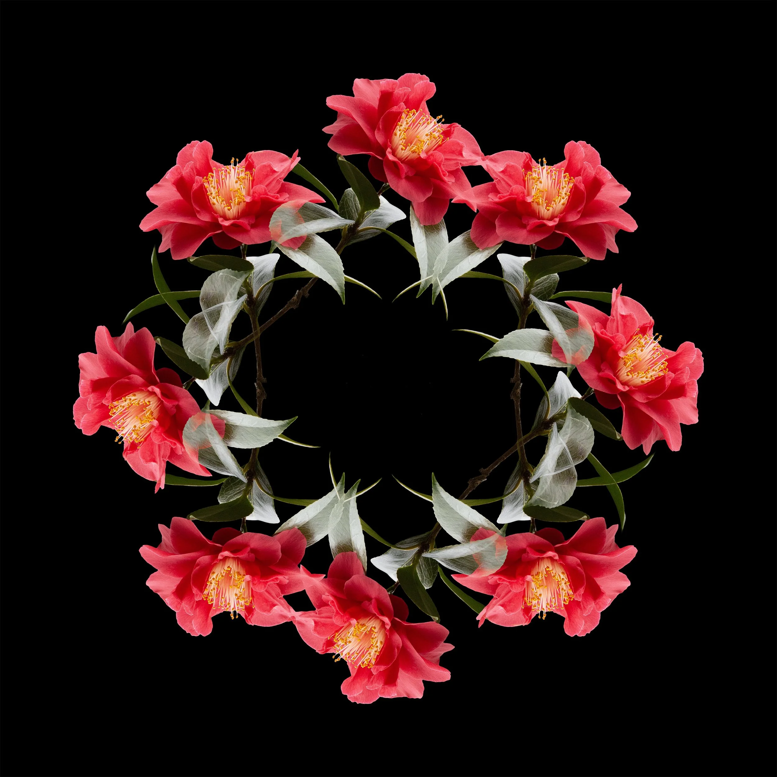 Red Camelia Globe.jpeg