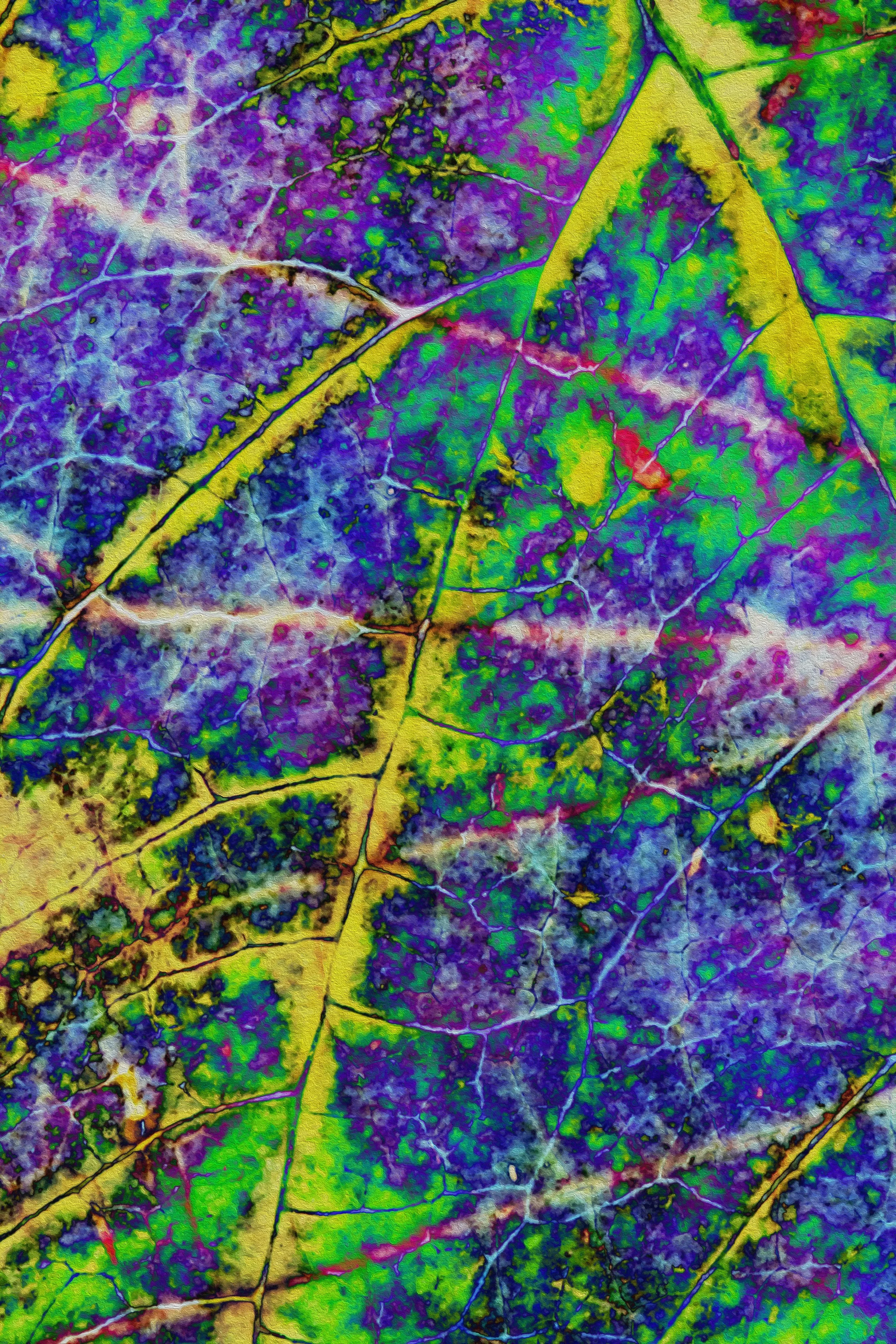 Leaf Jumble Oil Paint.jpg