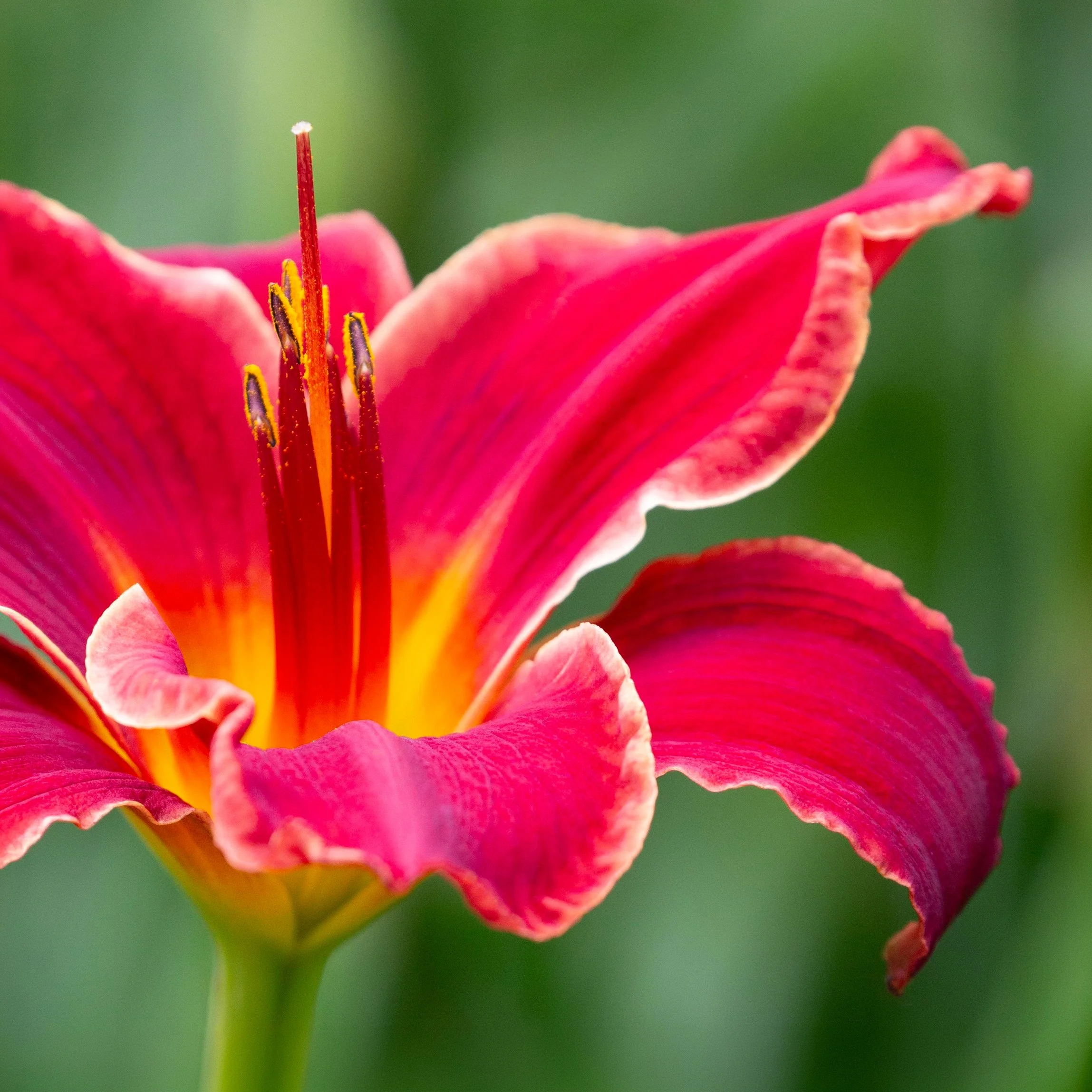 Radiance