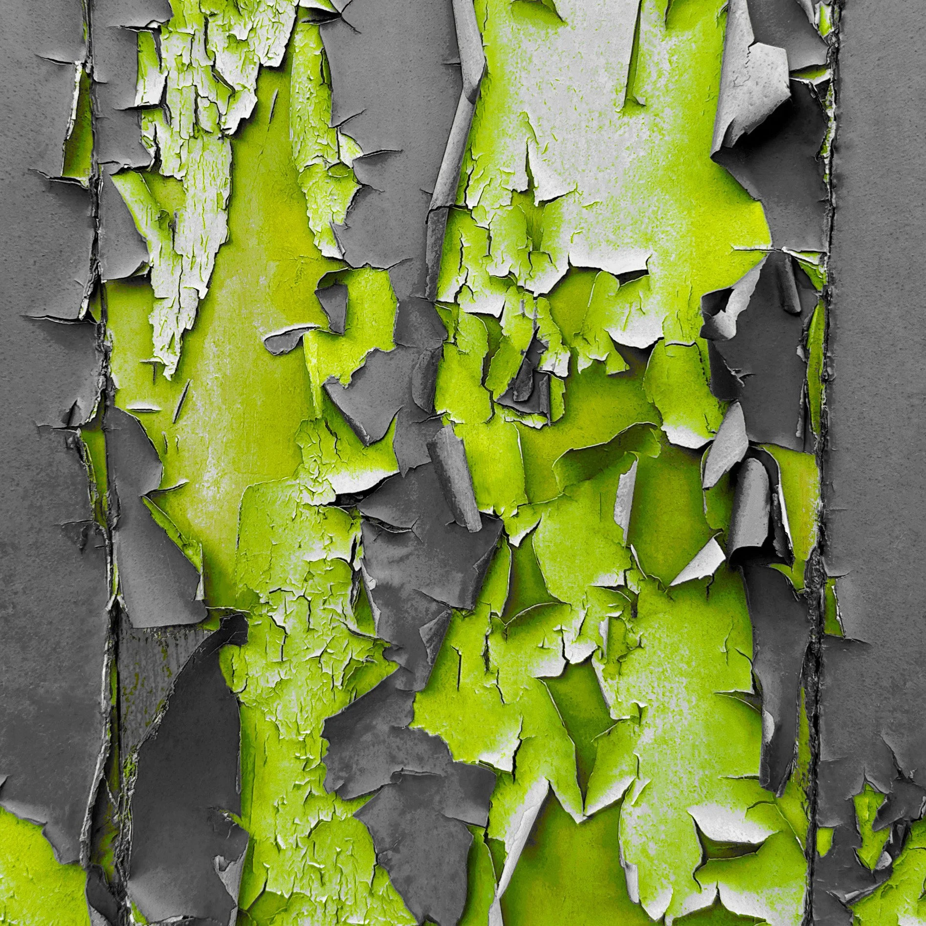Patina VI