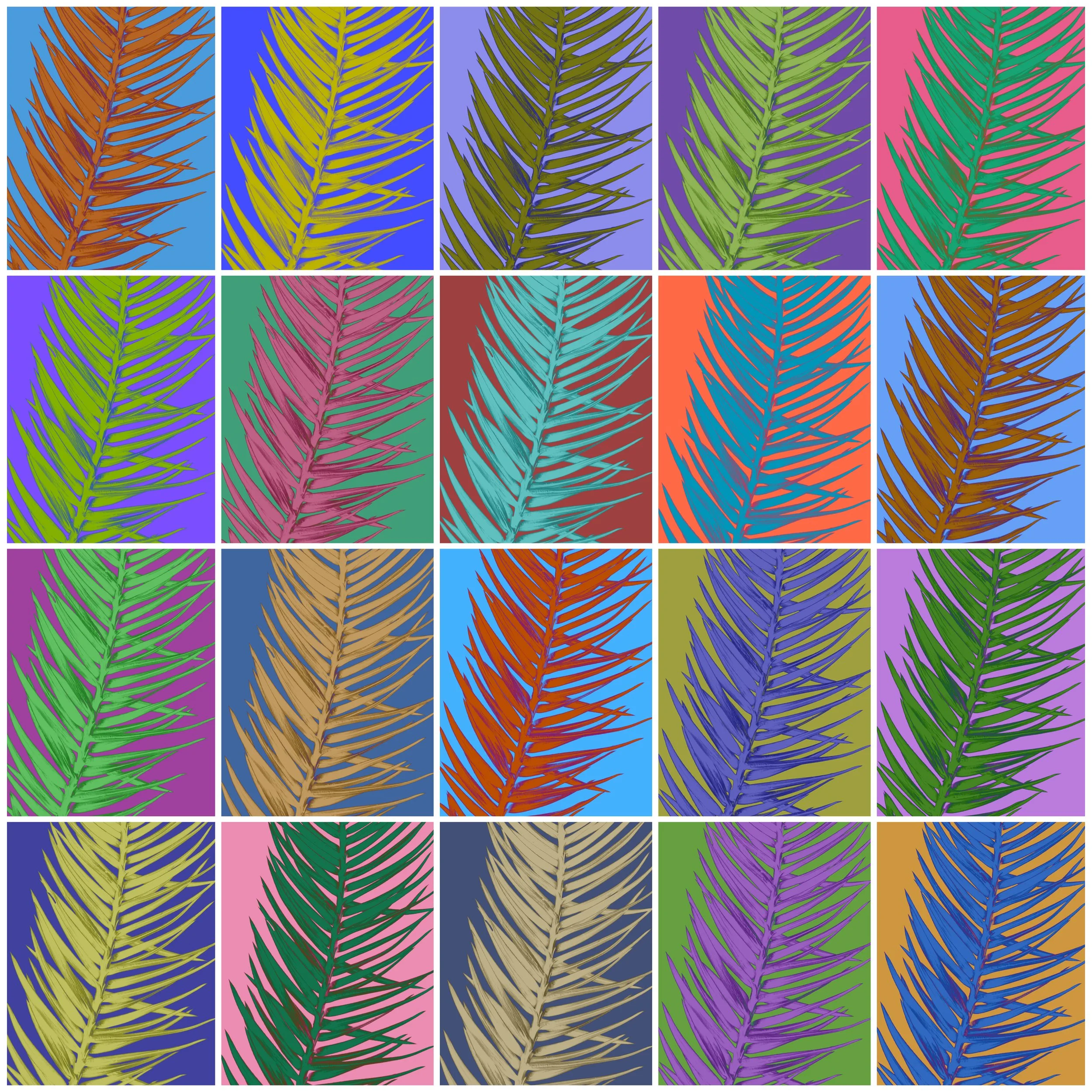 Ferns Final.JPG