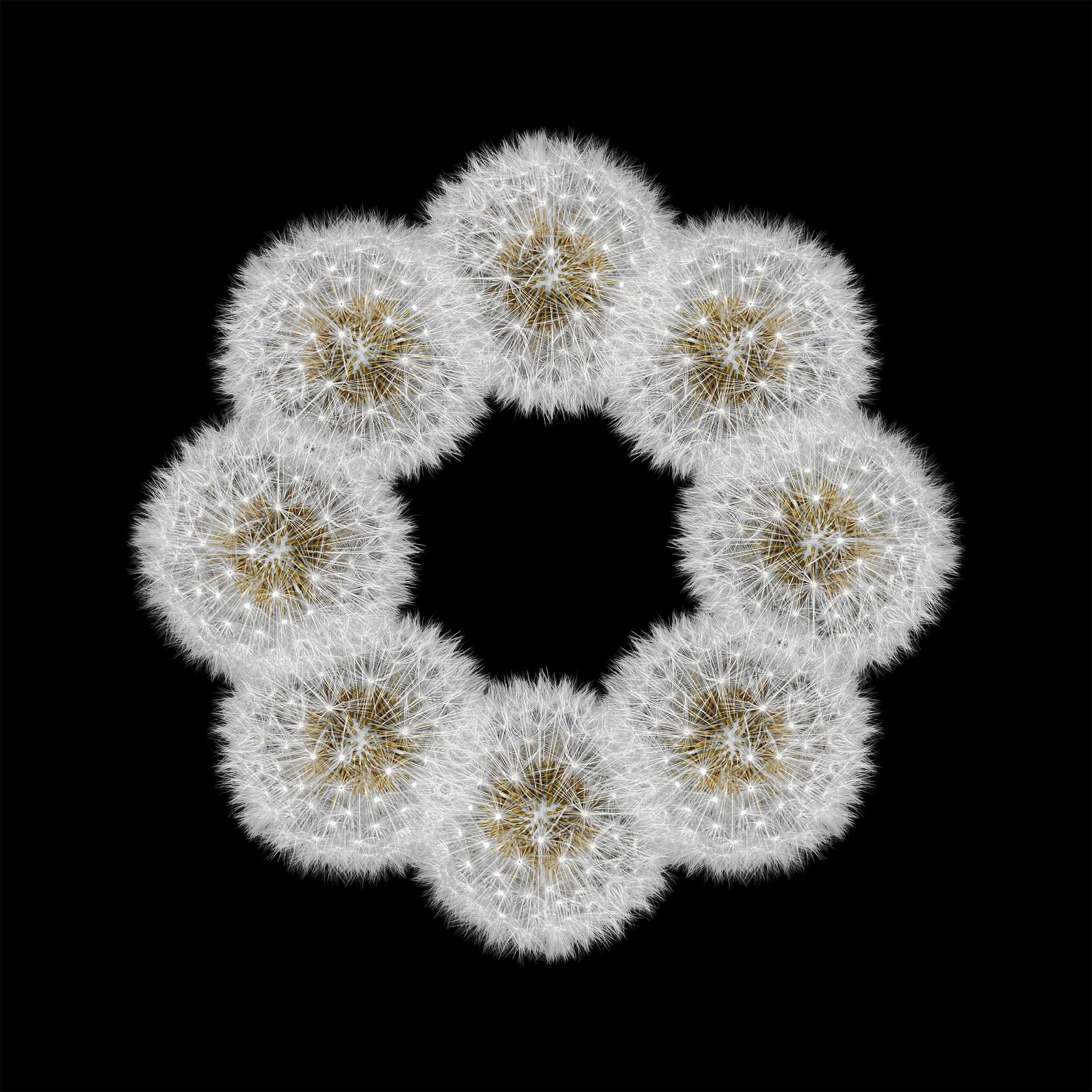 Dandelion mandala.jpeg