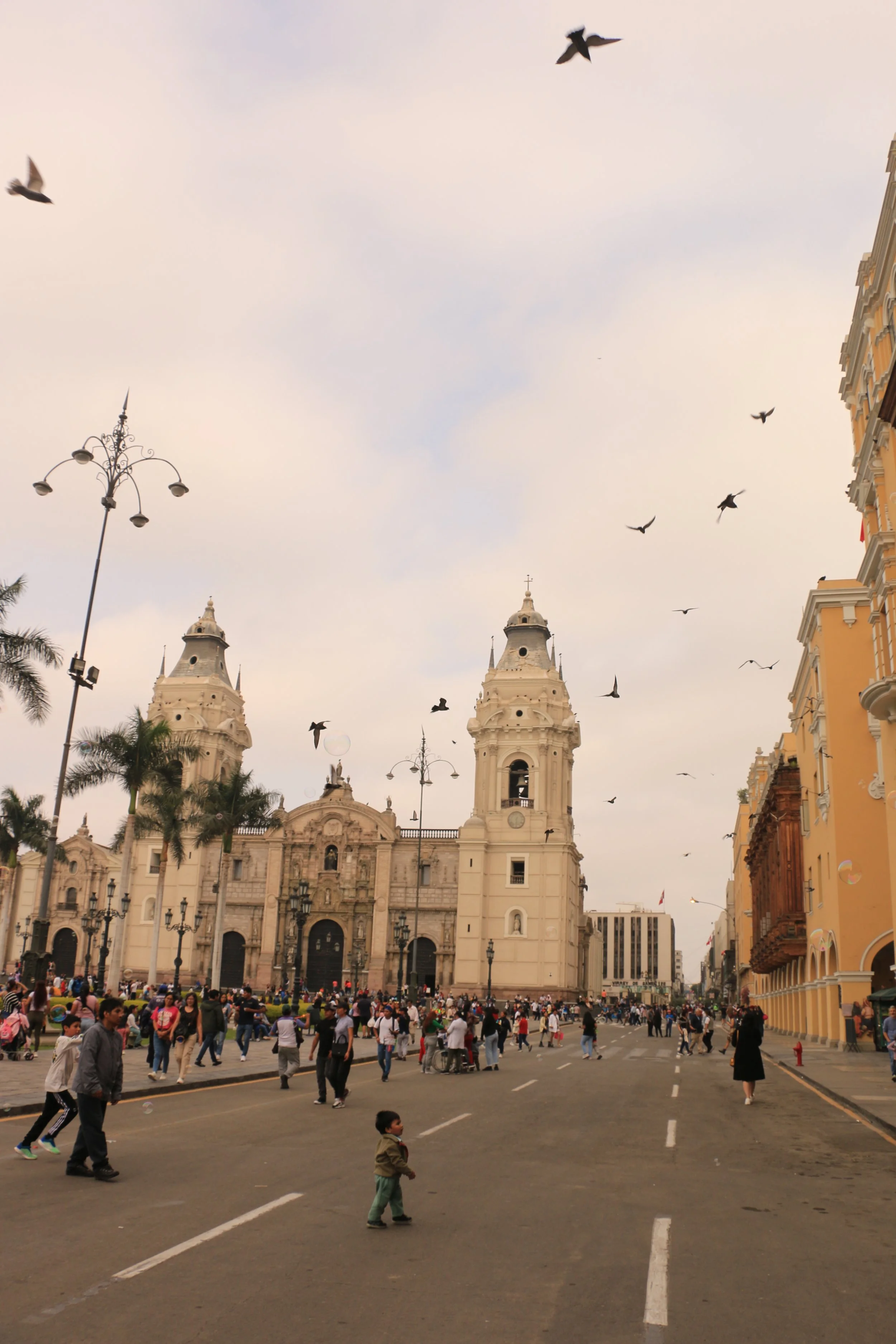 A busy city square with people walking, pigeons flying in the sky, and historic buildings, including a cathedral with twin towers, in the background.