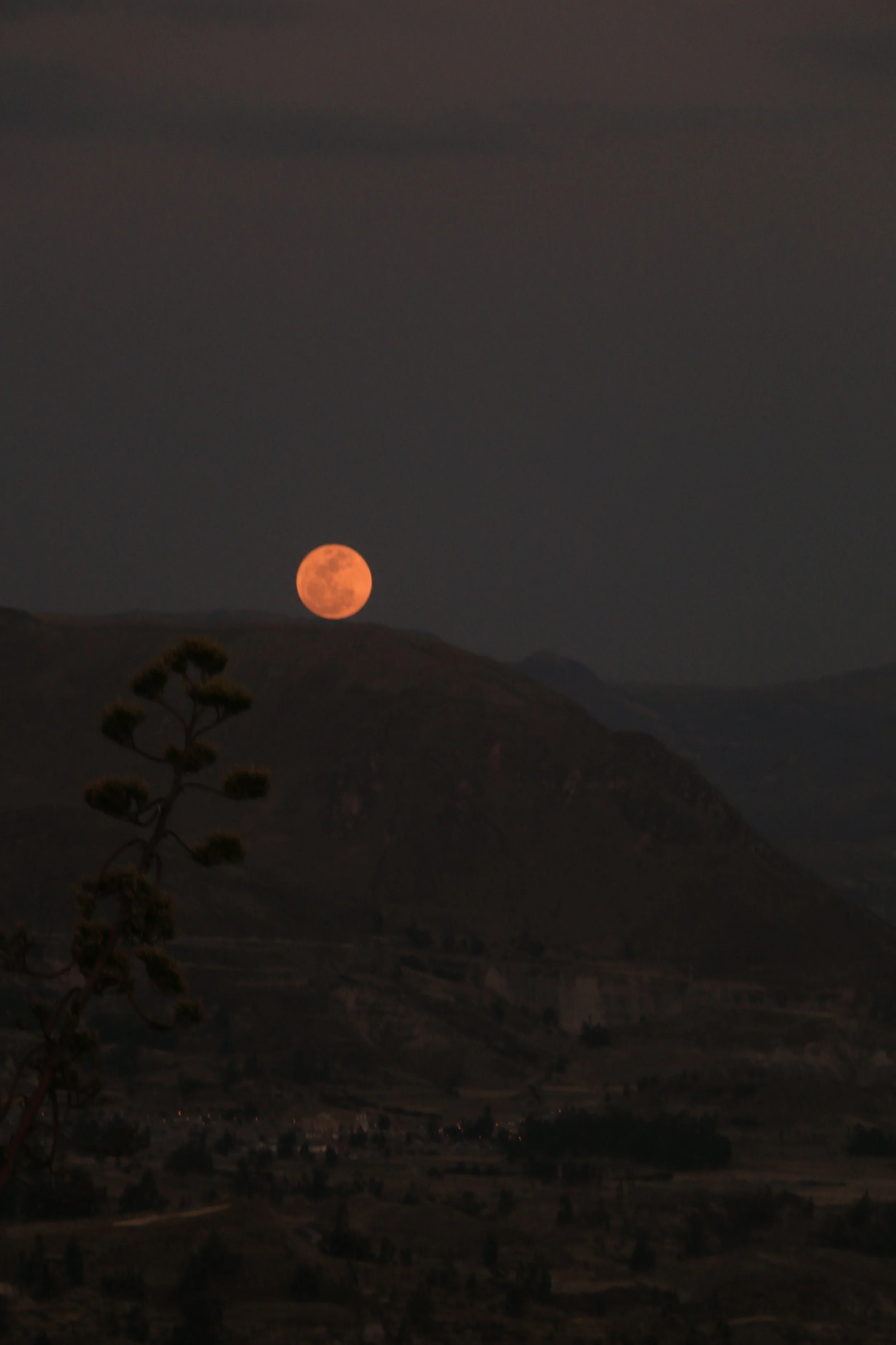 A photograph of a full moon rising over a mountain landscape at night, with a dark sky and a silhouette of a tree in the foreground.