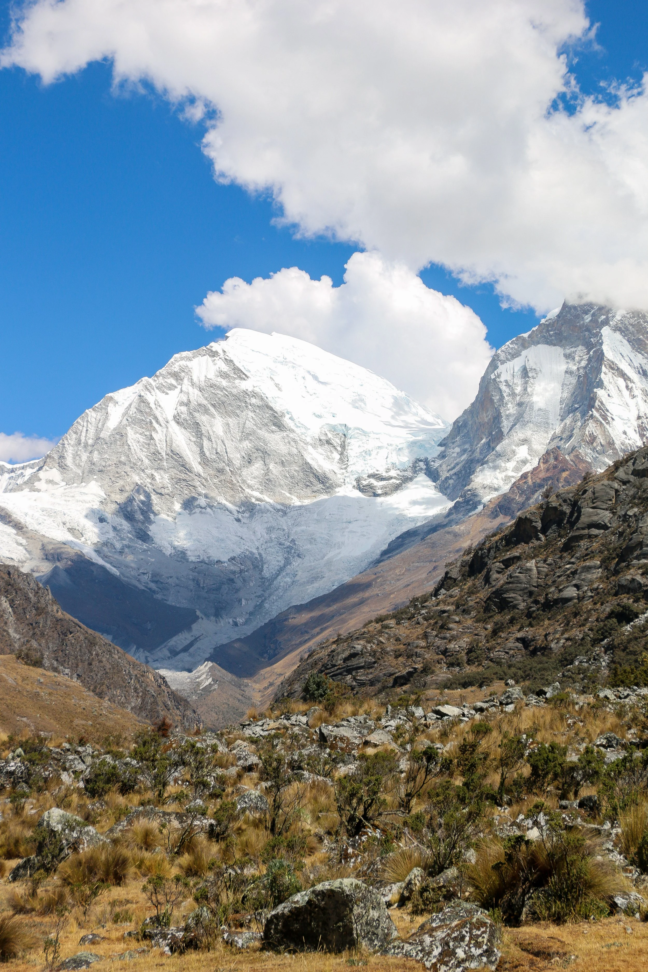 Snow-capped mountains under a partly cloudy blue sky, with rocky and grassy terrain in the foreground.