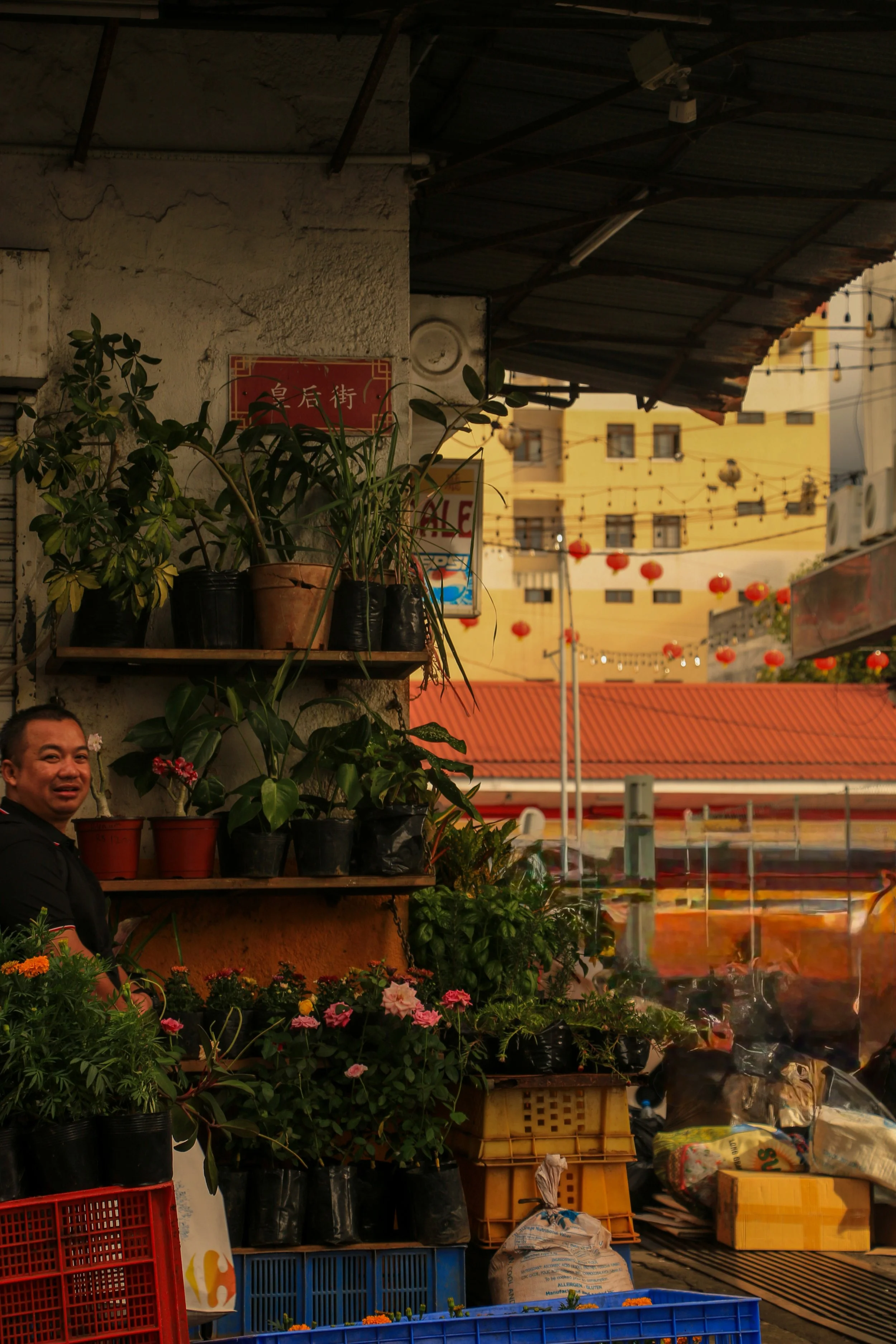 Street market with potted plants, flowers, and a man smiling among the merchandise at sunset.