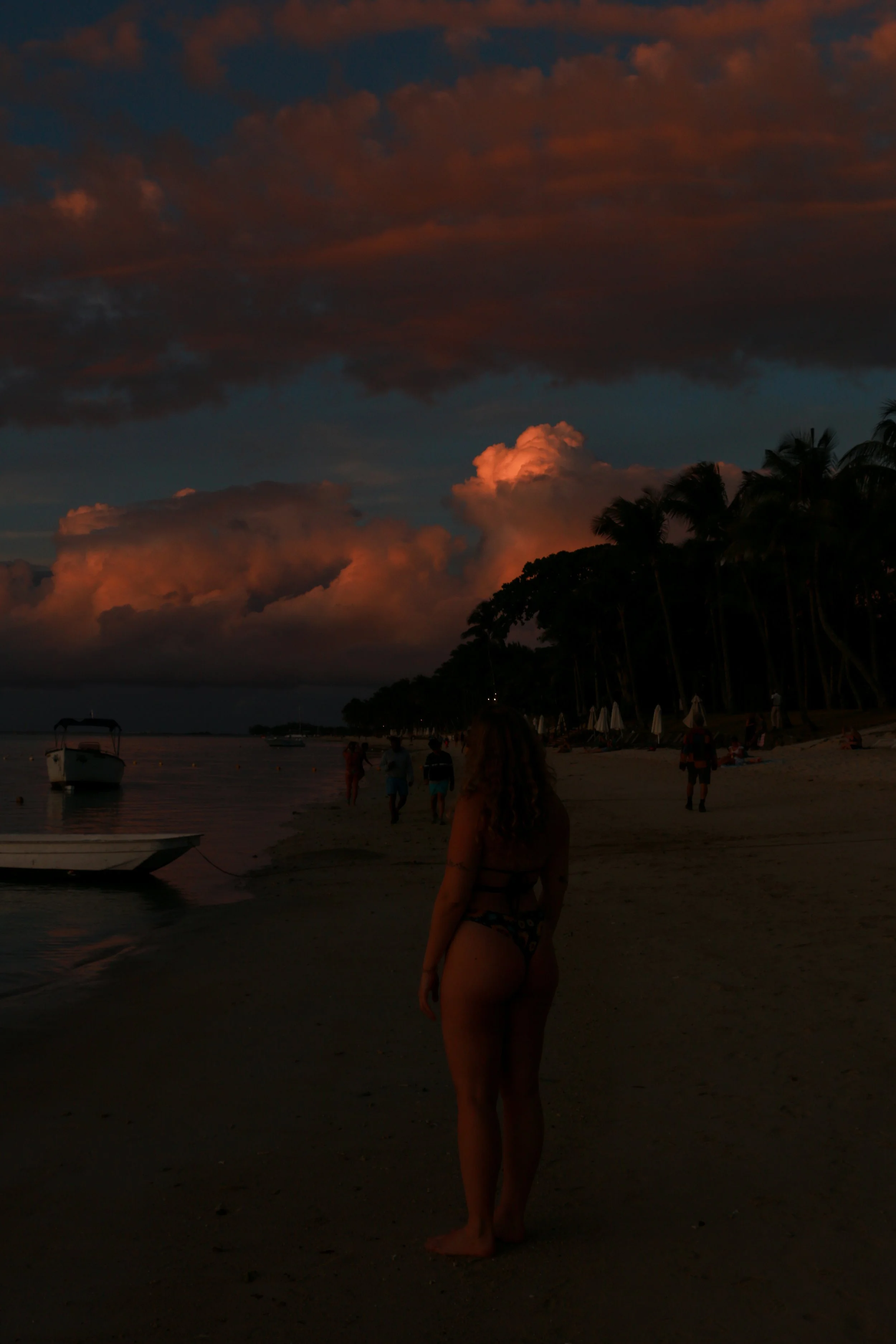 A woman standing on a beach during sunset, with dark clouds, palm trees, boats, and people in the background.