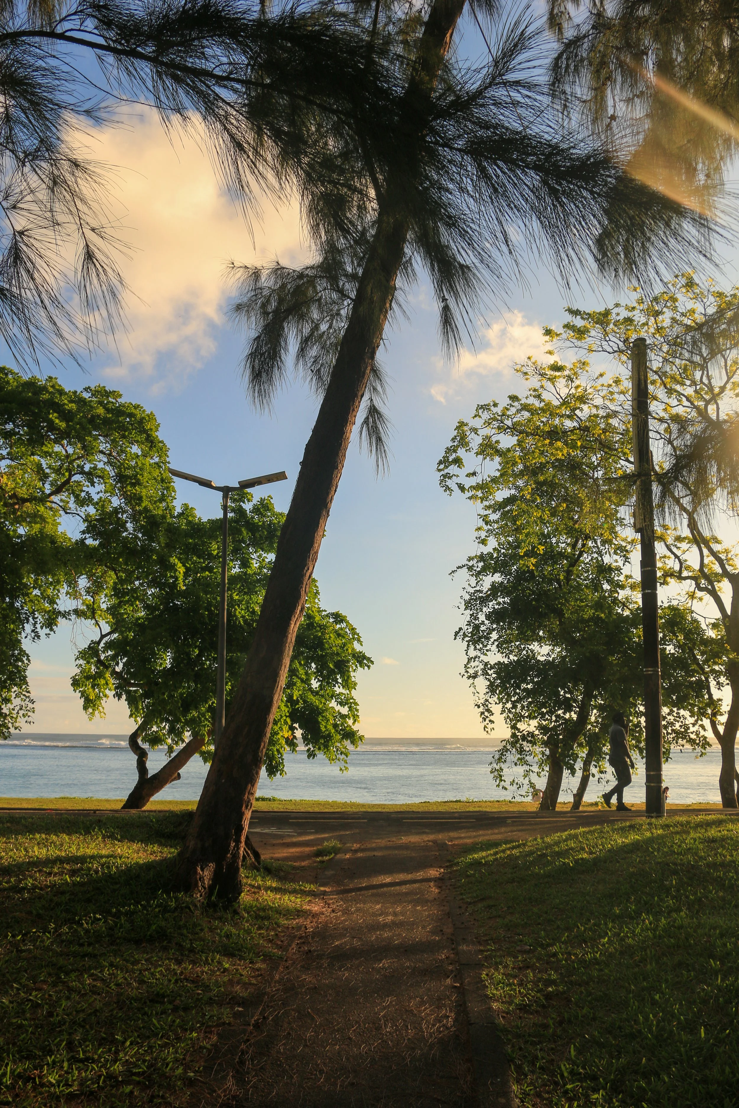 Sunset over a seaside park with green trees, a dirt path, and a few people walking by the water.