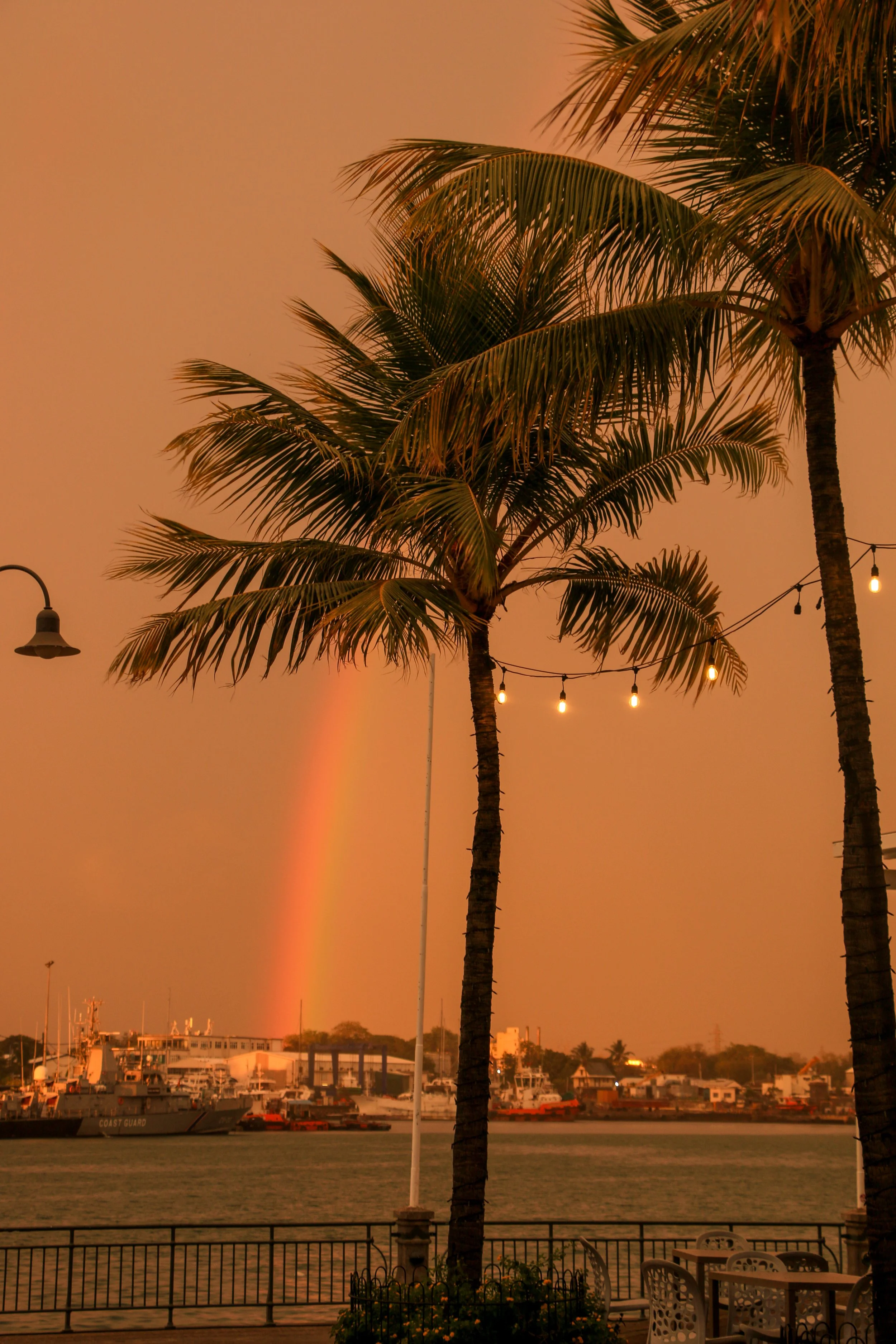 Sunset over a marina with boats, palm trees with hanging string lights, rainbow in the sky, and outdoor seating.