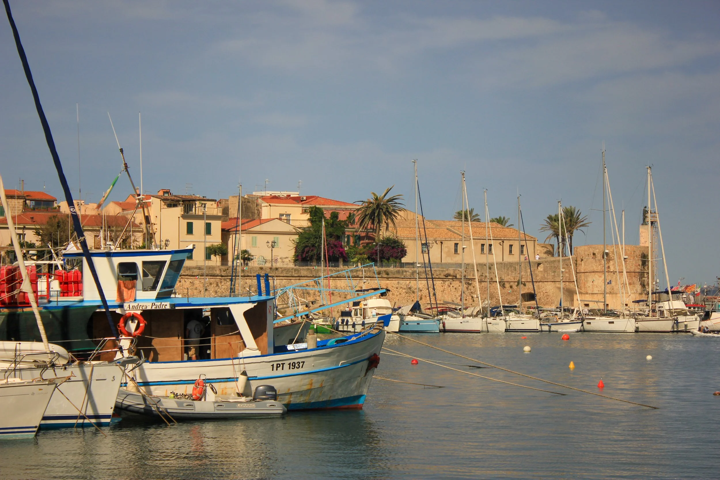 A marina with boats docked in calm water, and a historic town with colorful buildings and palm trees in the background.