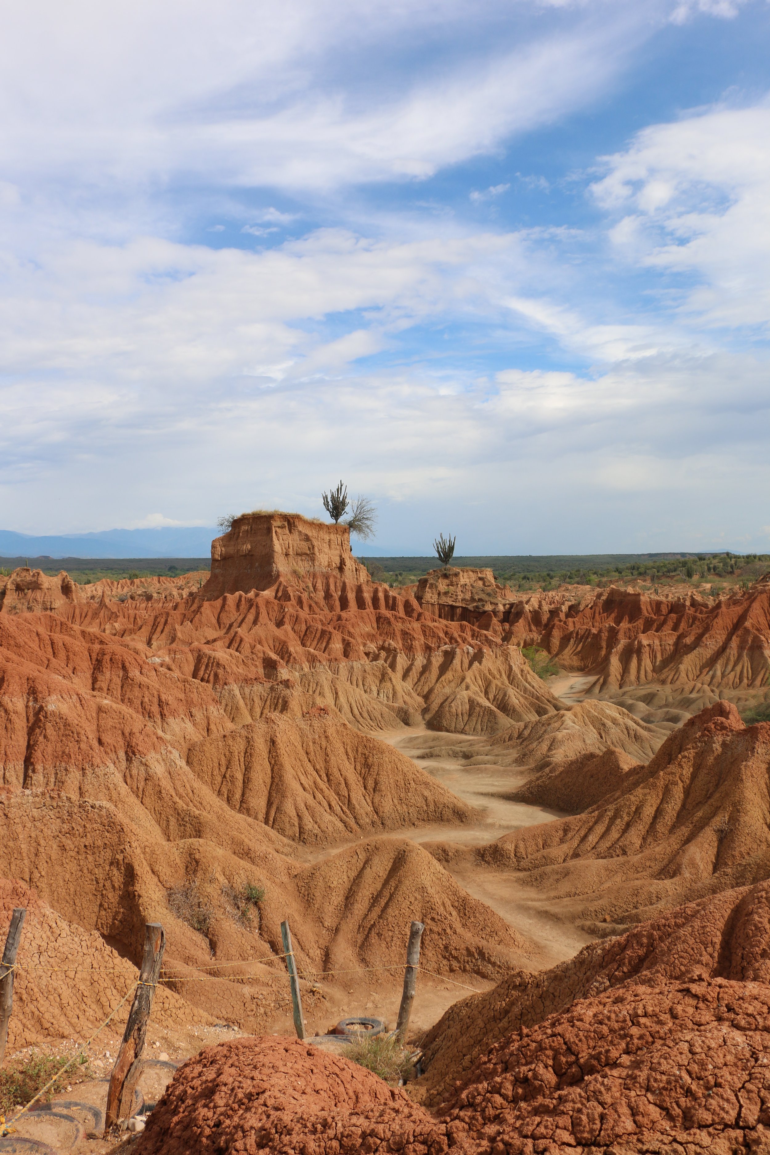 Desert landscape with eroded red and orange clay formations, two cacti on top of isolated plateaus, and a partly cloudy blue sky.