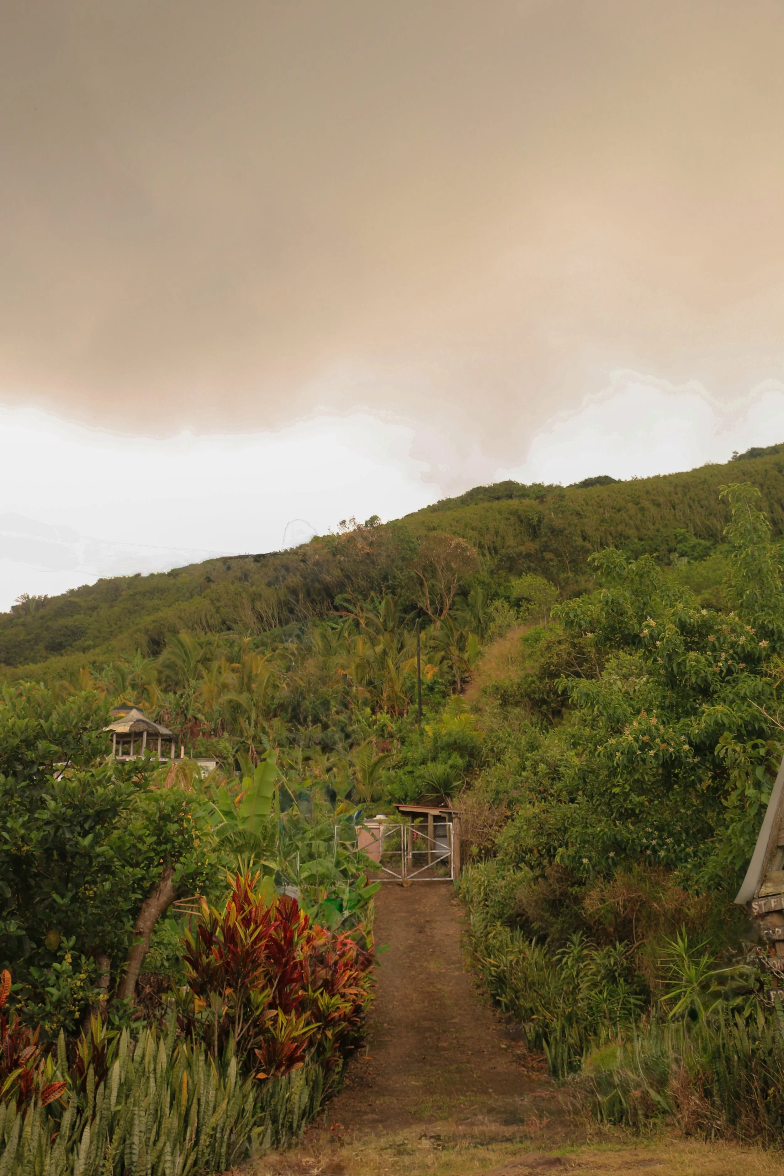 A dirt pathway through lush green tropical vegetation leading towards a gate and hills covered in trees under a cloudy sky.