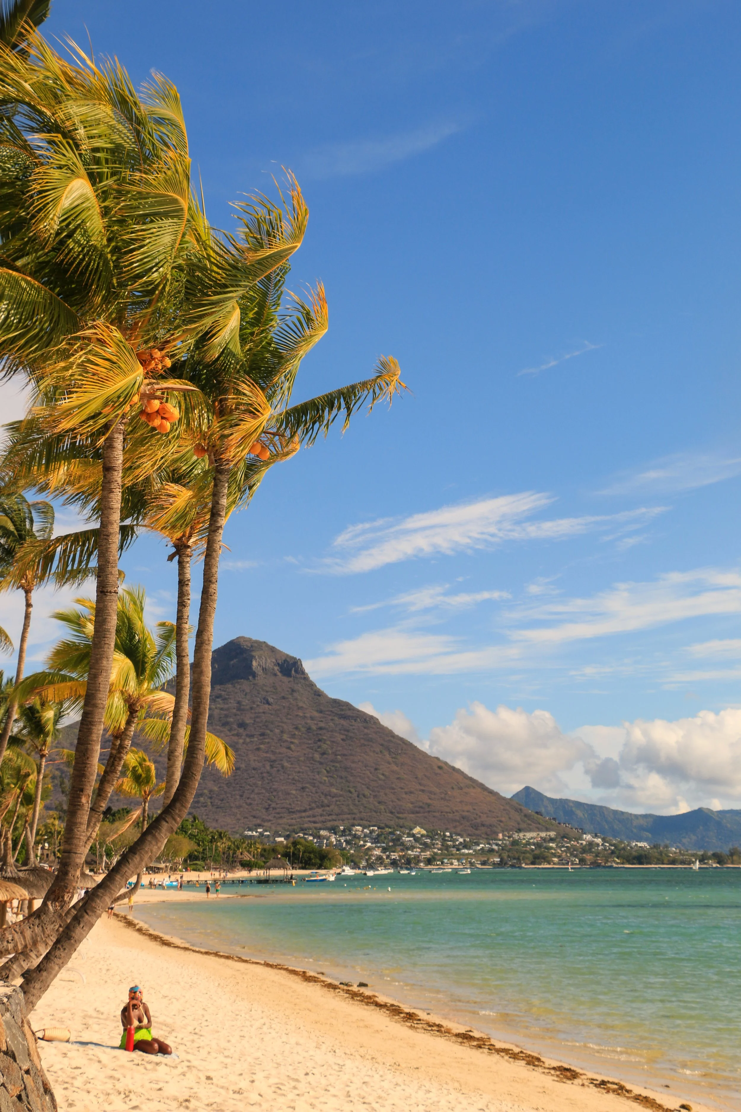 Tropical beach scene with palm trees, sandy shore, and a mountain in the background under a blue sky.