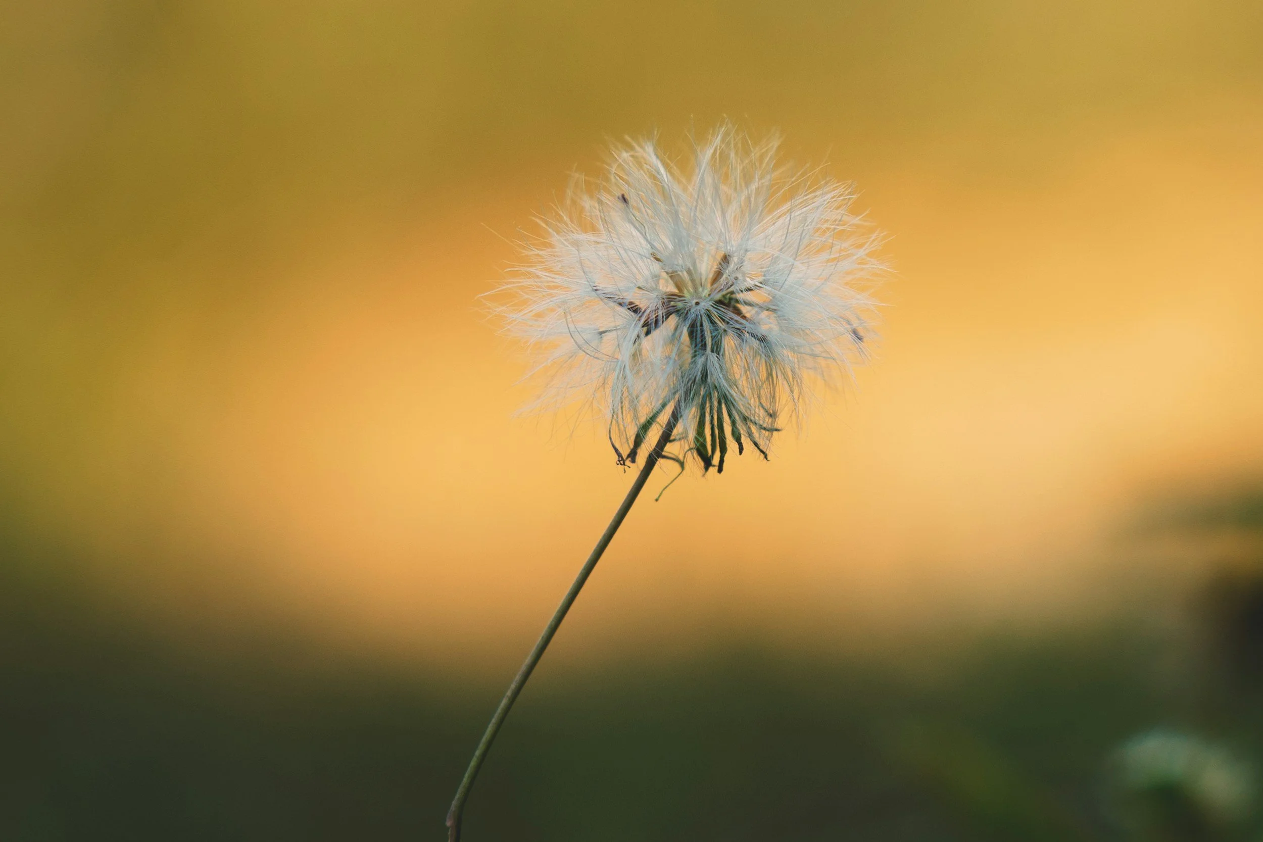 unsplash-image-9568F0L7WH8.jpg