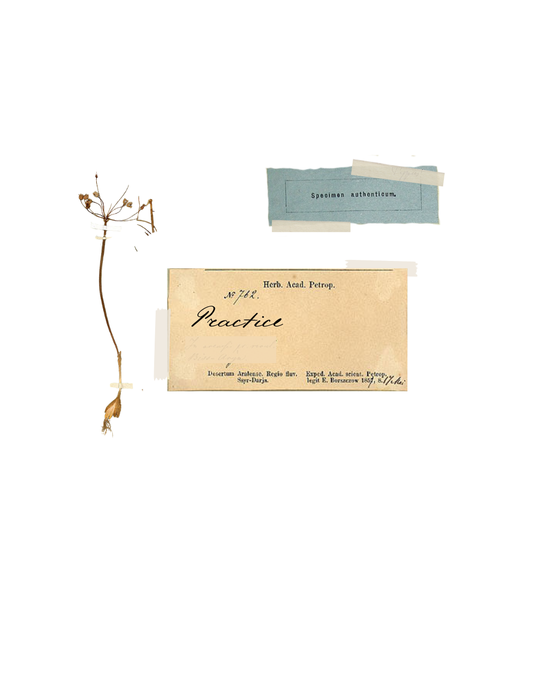 Illustrations Substack (1) copy.png