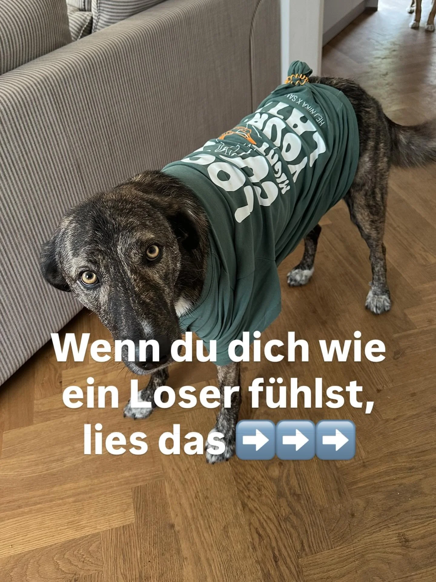 LG Meme Cleo 💋💅