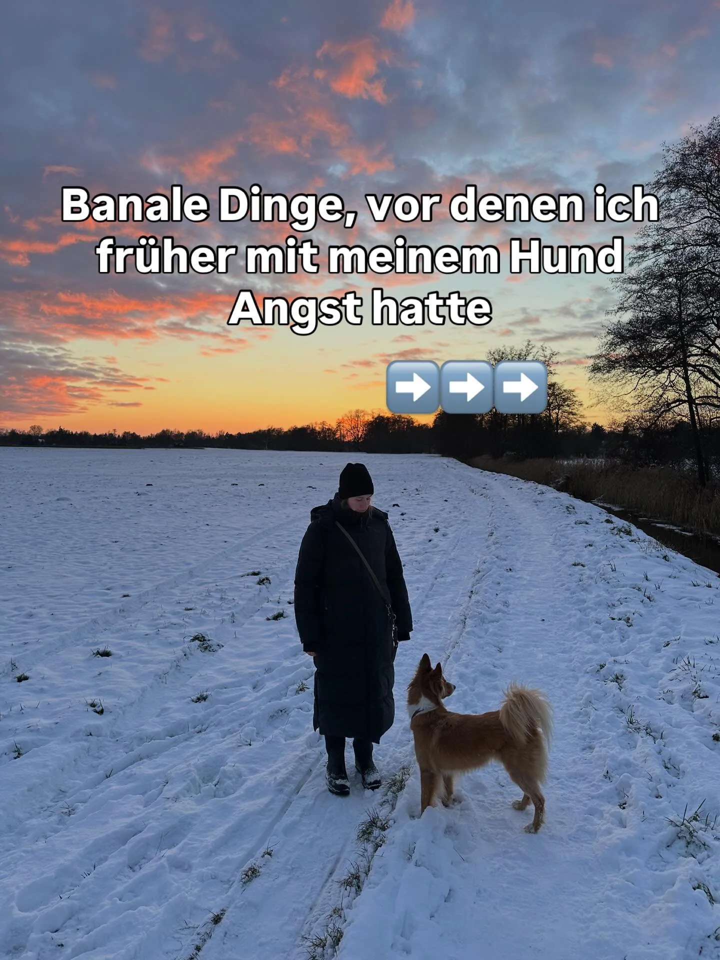 Es gab Tage, da erschreckte ich mich vor V&ouml;geln, die aus dem Busch flogen.🙈 Verr&uuml;ckt ey. Ich war so angespannt. Voller Sorge und Angst, vor dem n&auml;chsten Ausraster. Immer auf der Hut. Immer auf der Suche nach einer ruhigen Runde, wo wi