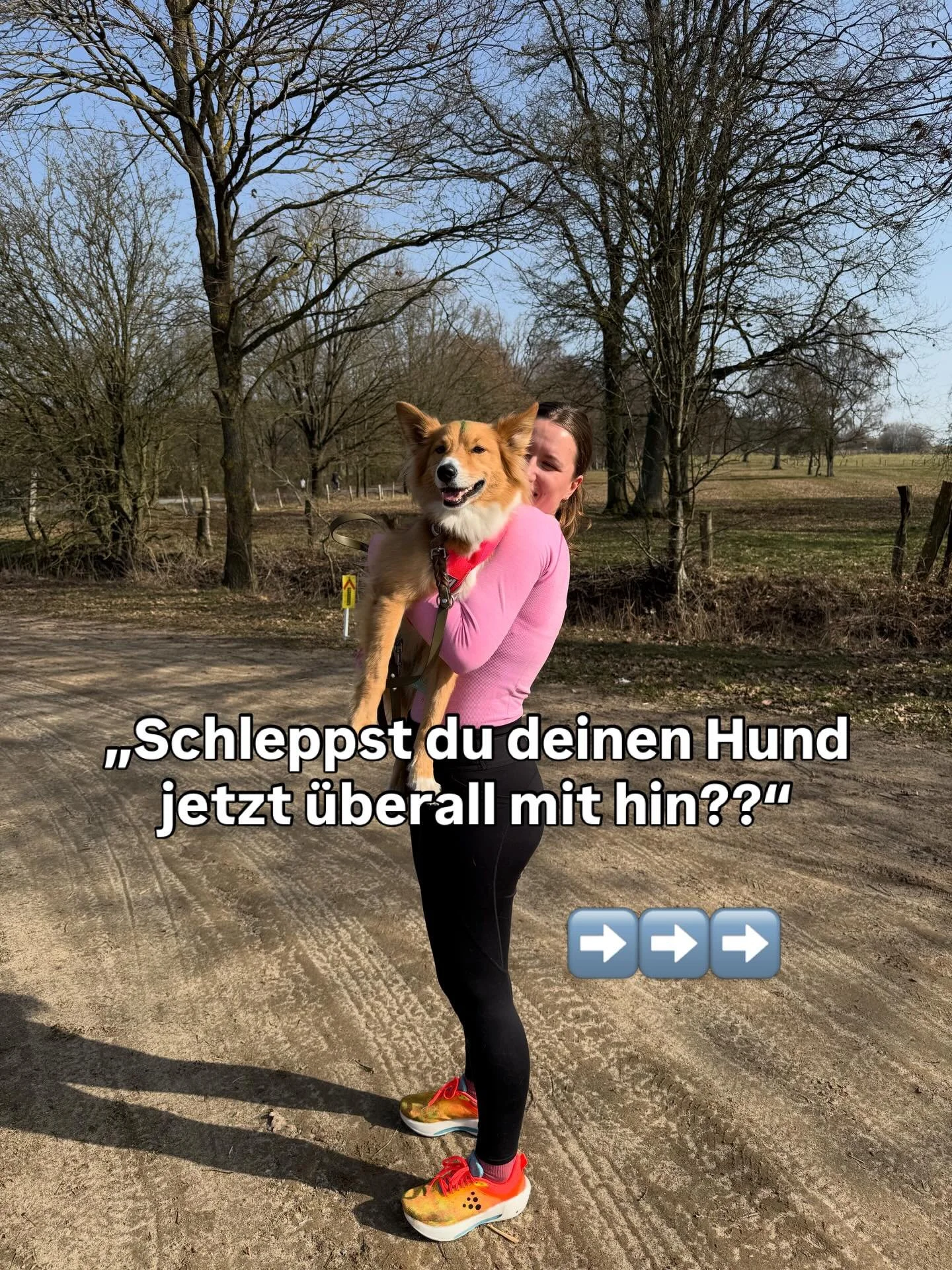 Be brave (mit deinem Hund) dann wird 2026 unser Jahr🥹😍

#hunde