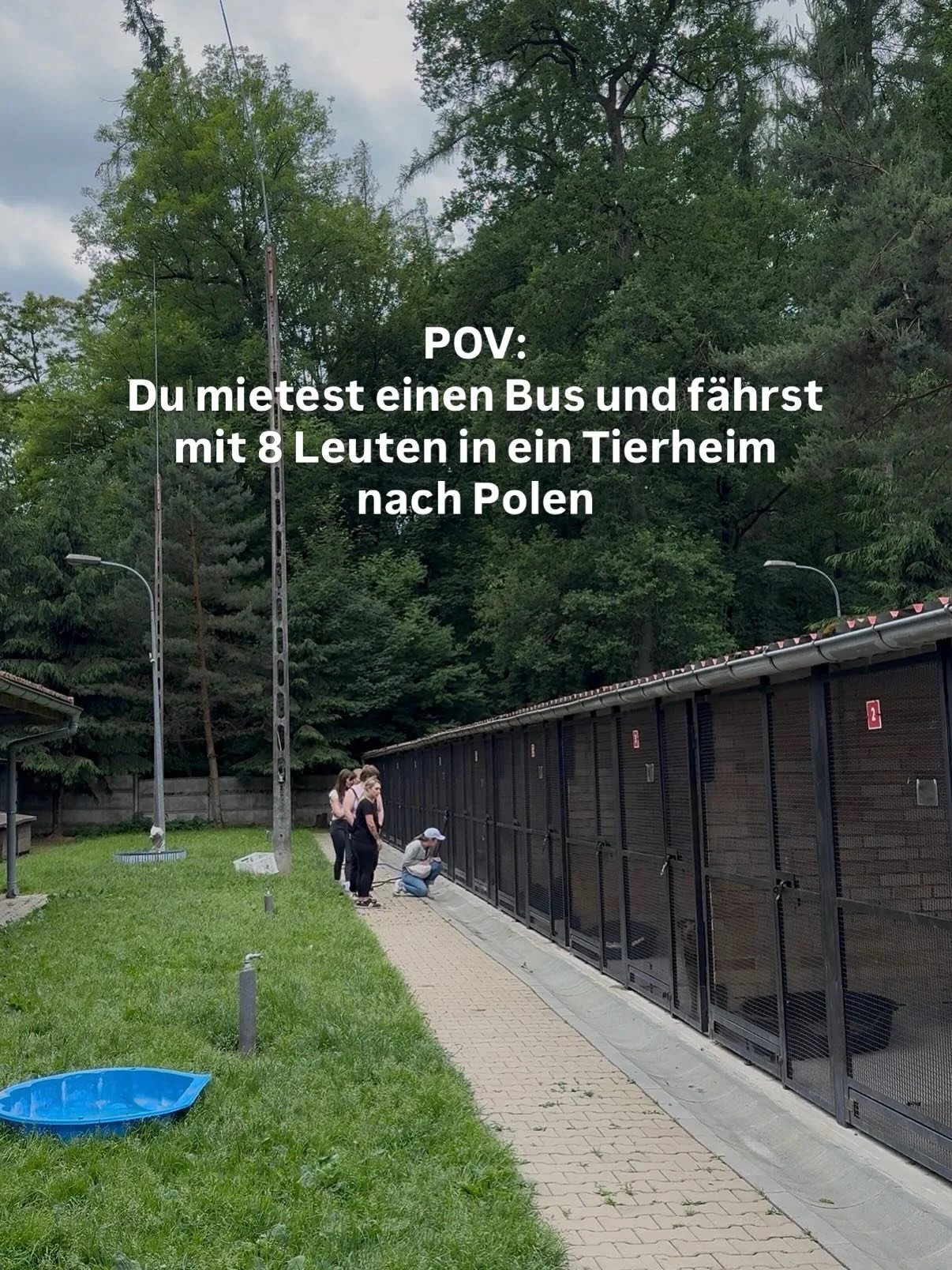 Danke f&uuml;r die beste Community❤️. Denn ohne EUCH w&auml;re diese Fahrt ins Tierheim nach Polen nicht m&ouml;glich gewesen. Durch eure Interaktionen verdiene ich den einen oder anderen Euro mit Social Media und konnte 6 Leute auf eine Fahrt nach P