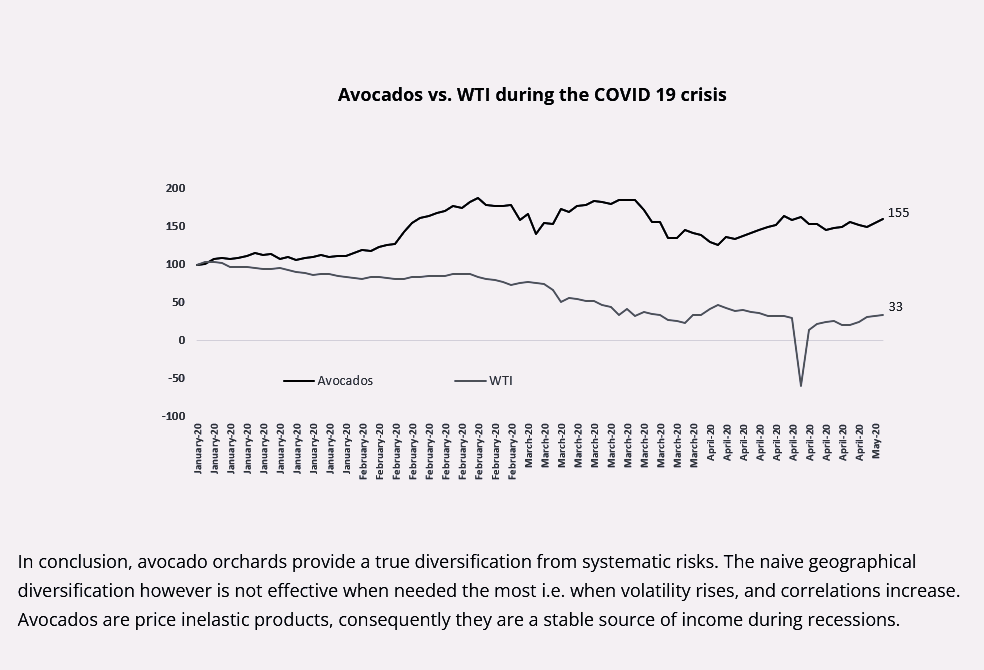 Portfolio diversification during the COVID 19 crisis:  Preventing income shortfalls with avocado orchards