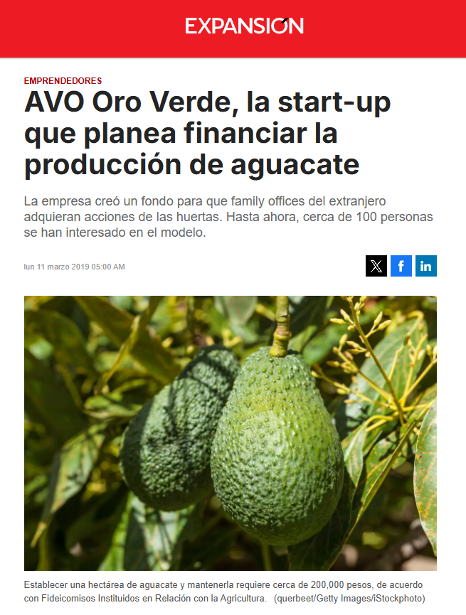 Avo Oro Verde_CNN