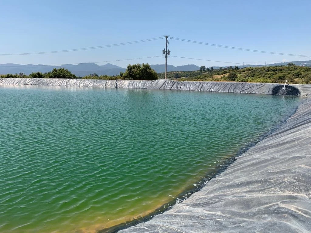 Sustainability at the Core