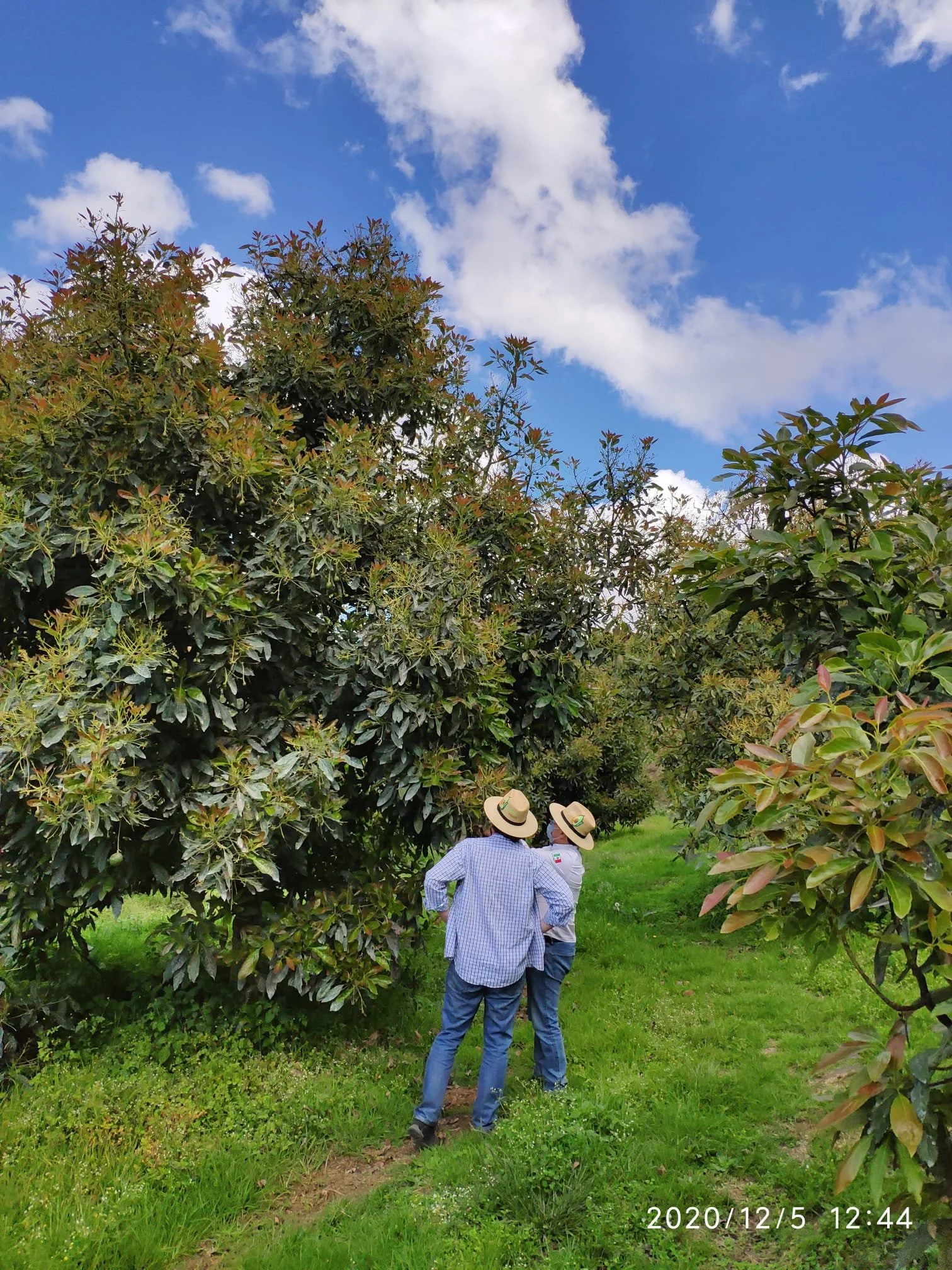 Sustainability at the Core