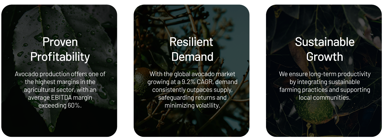 An infographic outlining three pillars of avocado investment: Proven Profitability with 60% EBITDA margins, Resilient Demand with a 9.2% CAGR, and Sustainable Growth through long-term farming practices