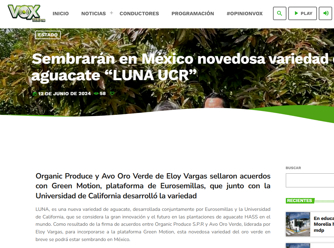 Development of a new avocado variety called 'LUNA UCR' in Mexico, developed by Eurosemillas and the University of California with Avo Oro verde executives.