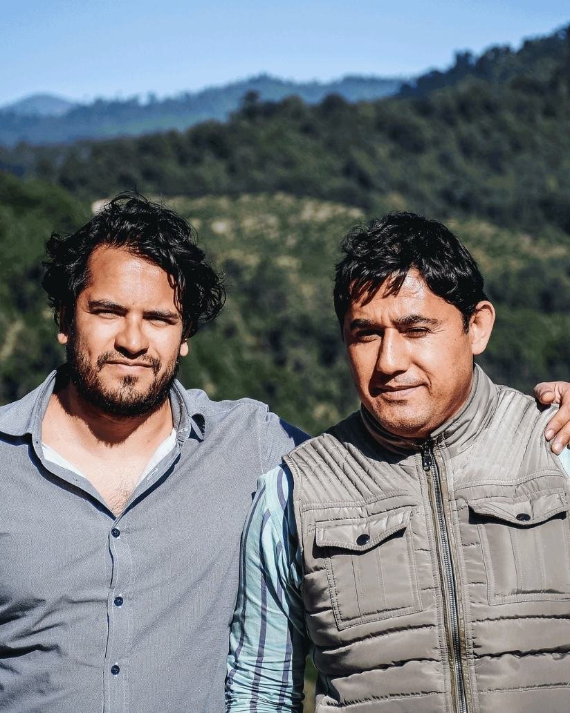 AVO Oro Verde team managing sustainable avocado farmland investment operations