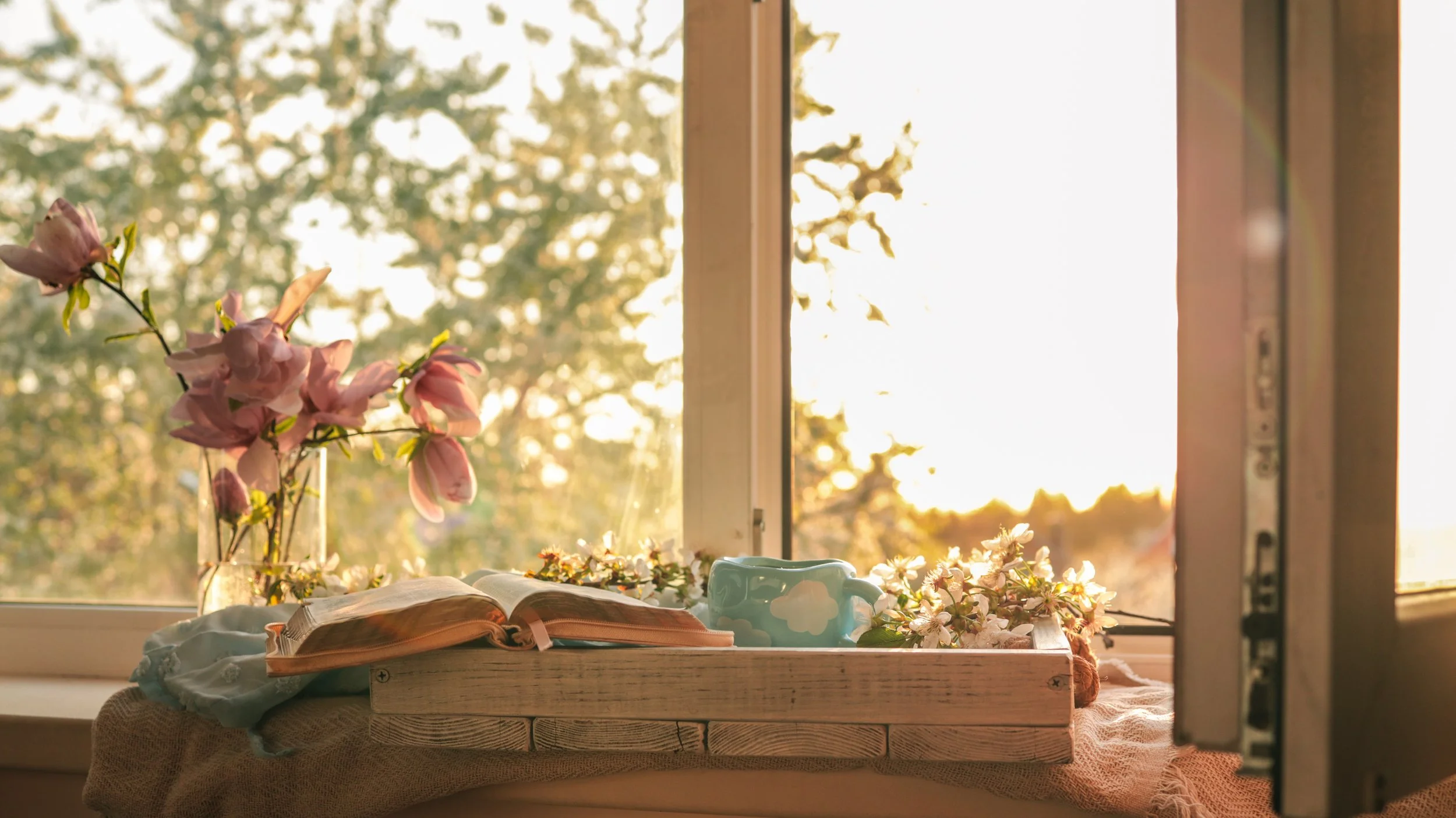 a window with a nice reading area