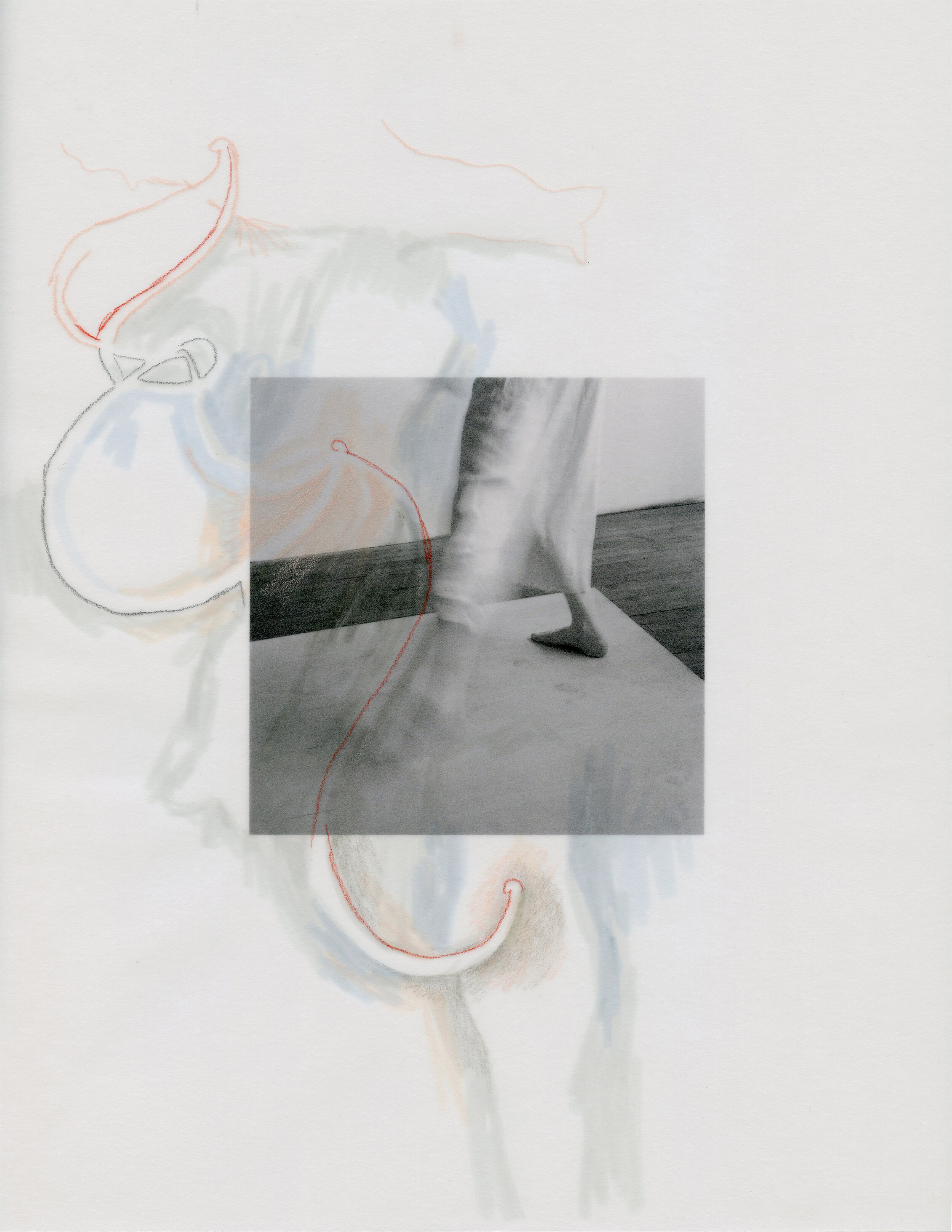Meg Wolfe, 2019
