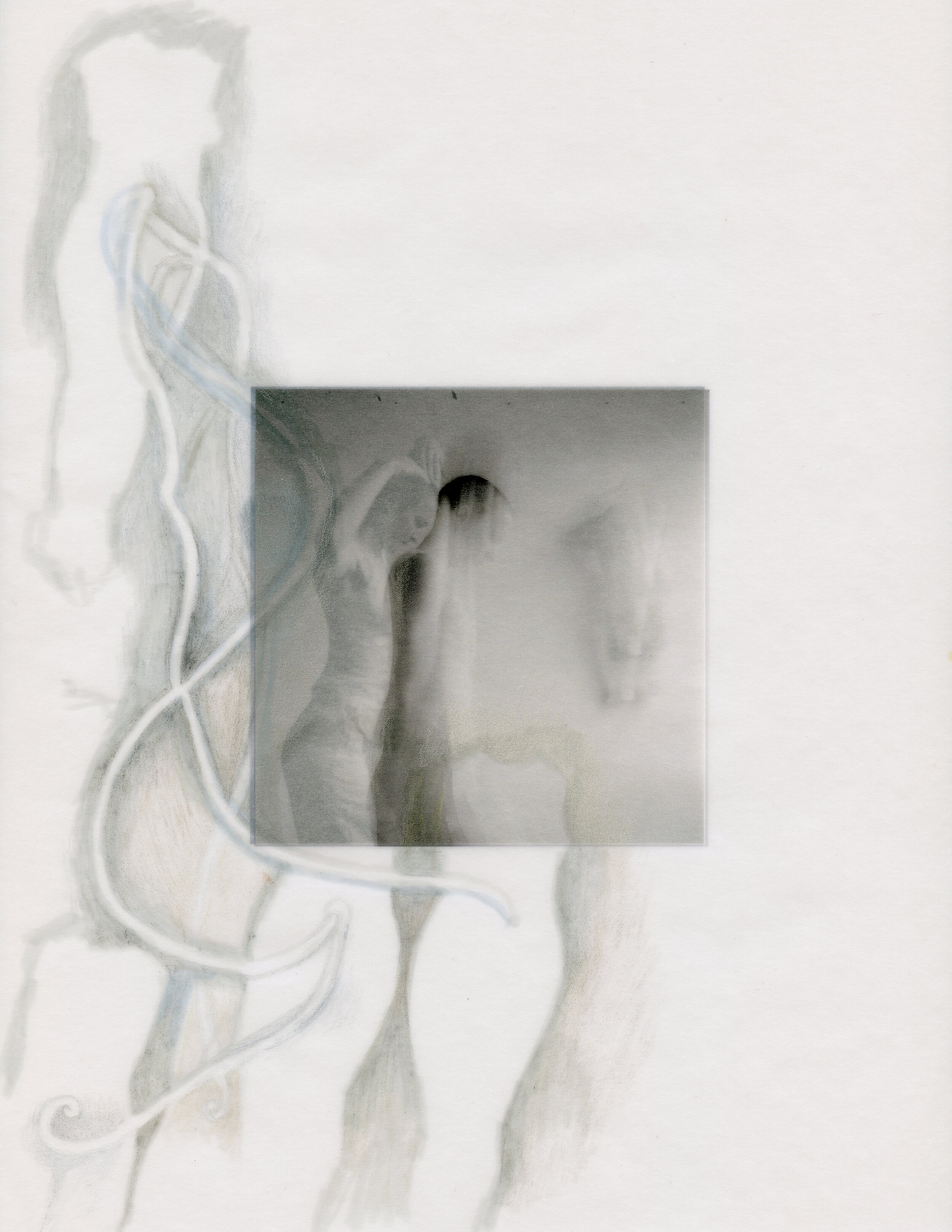 Meg Wolfe, 2019