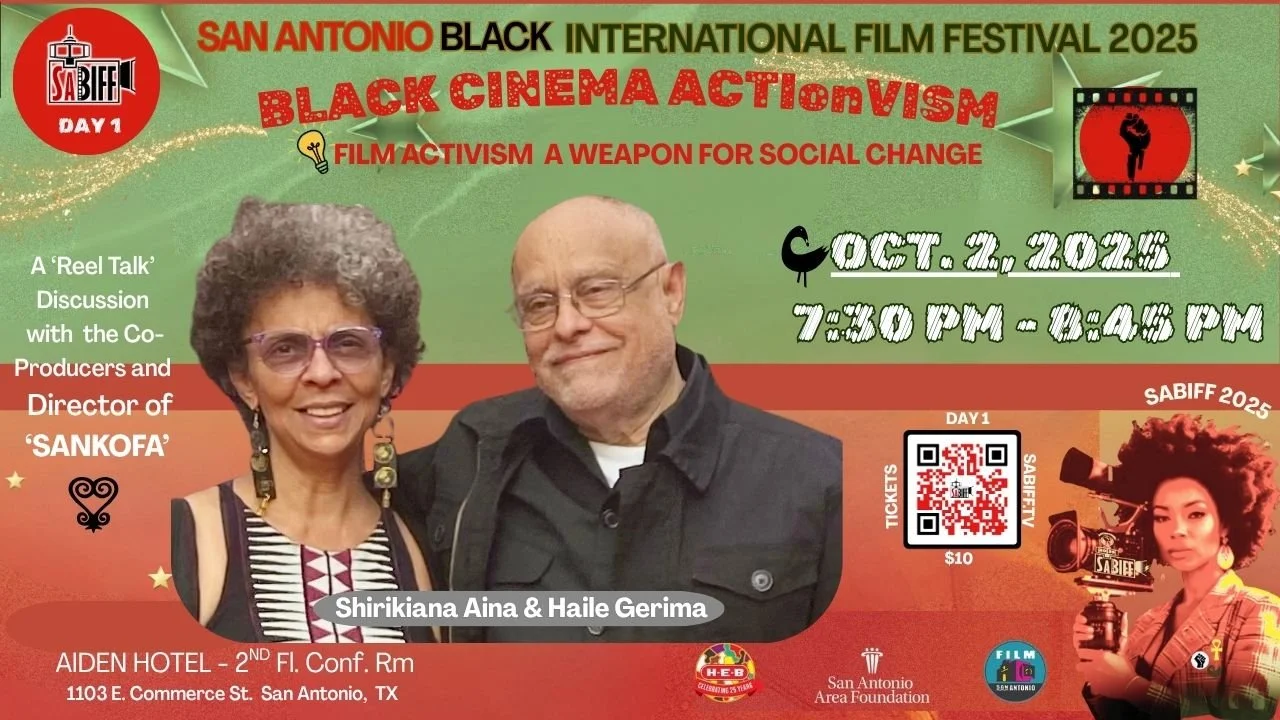 SABIFF 2025 - ACTIonVism Film Panel