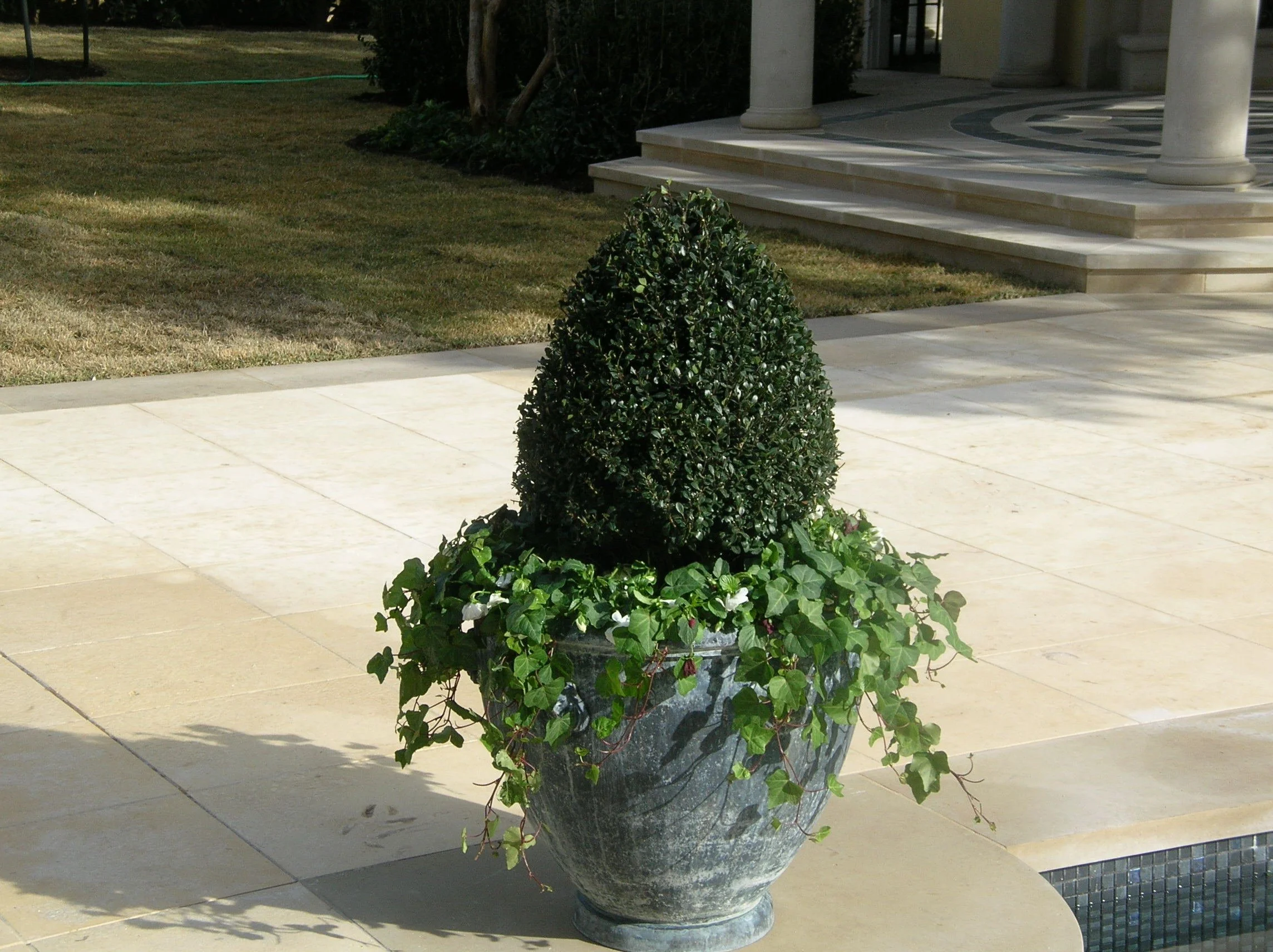 small planter urn 