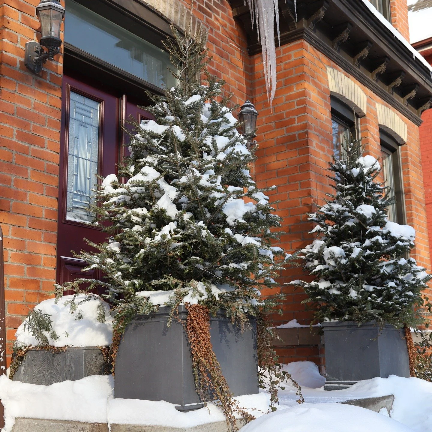 Snow Day ❄️🏡

A huge thank you to our wonderful client for sharing these stunning views of their home after the recent snowstorm!

 There is something truly magical about how the fresh snowfall highlights the clean lines and textures of our custom p
