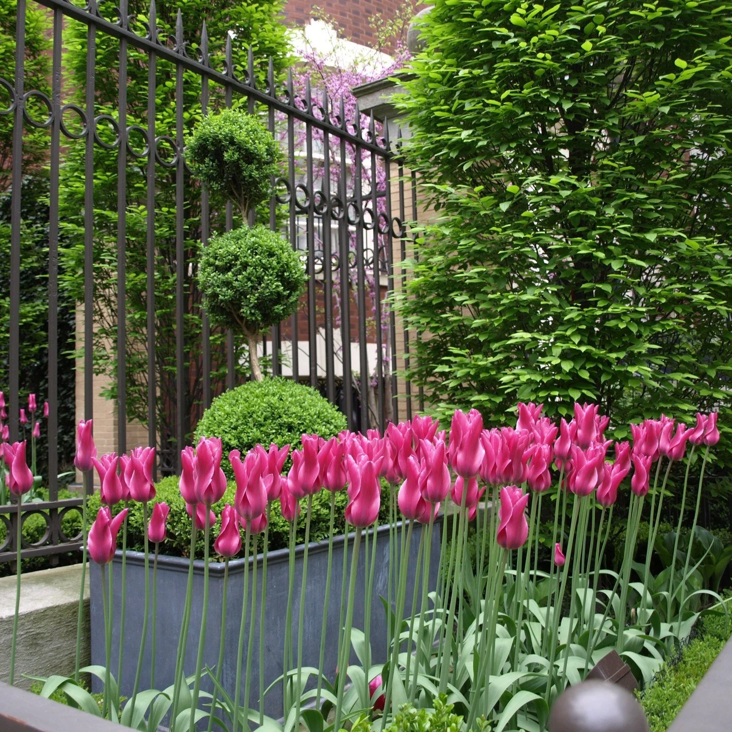 It&rsquo;s all in the details. 🔎

A great garden is more than just plants&mdash;it&rsquo;s the layers. 

Here, our planter bridges the gap between the ornate ironwork and the lush greenery, creating a look that feels like it&rsquo;s been there for d