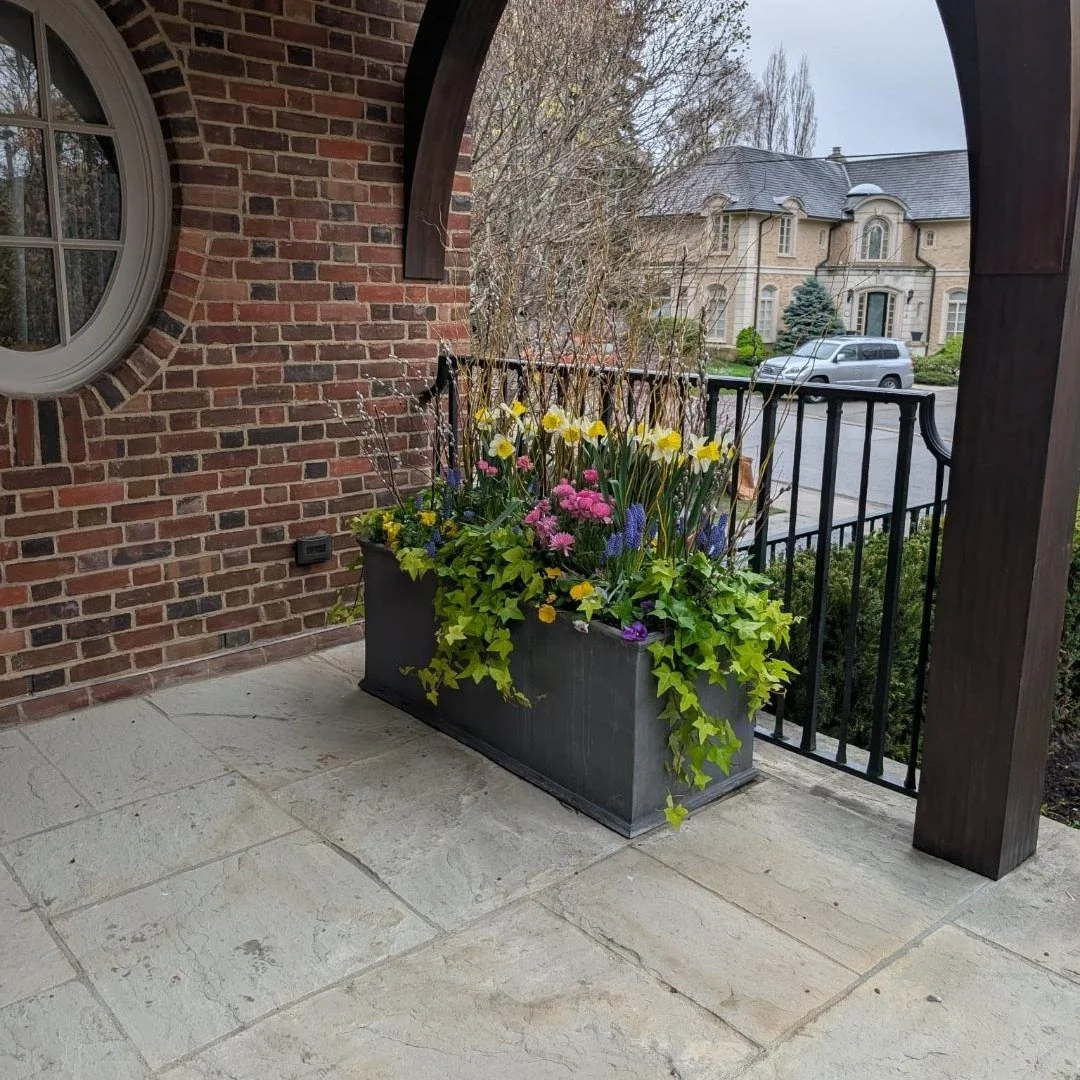 A Bromsgrove Garden planter starting spring off right!🌷

This lead planter is beautifully showcasing a vibrant mix of early-season color, perfectly complementing the classic architecture of this entrance. The natural patina of the lead provides the 