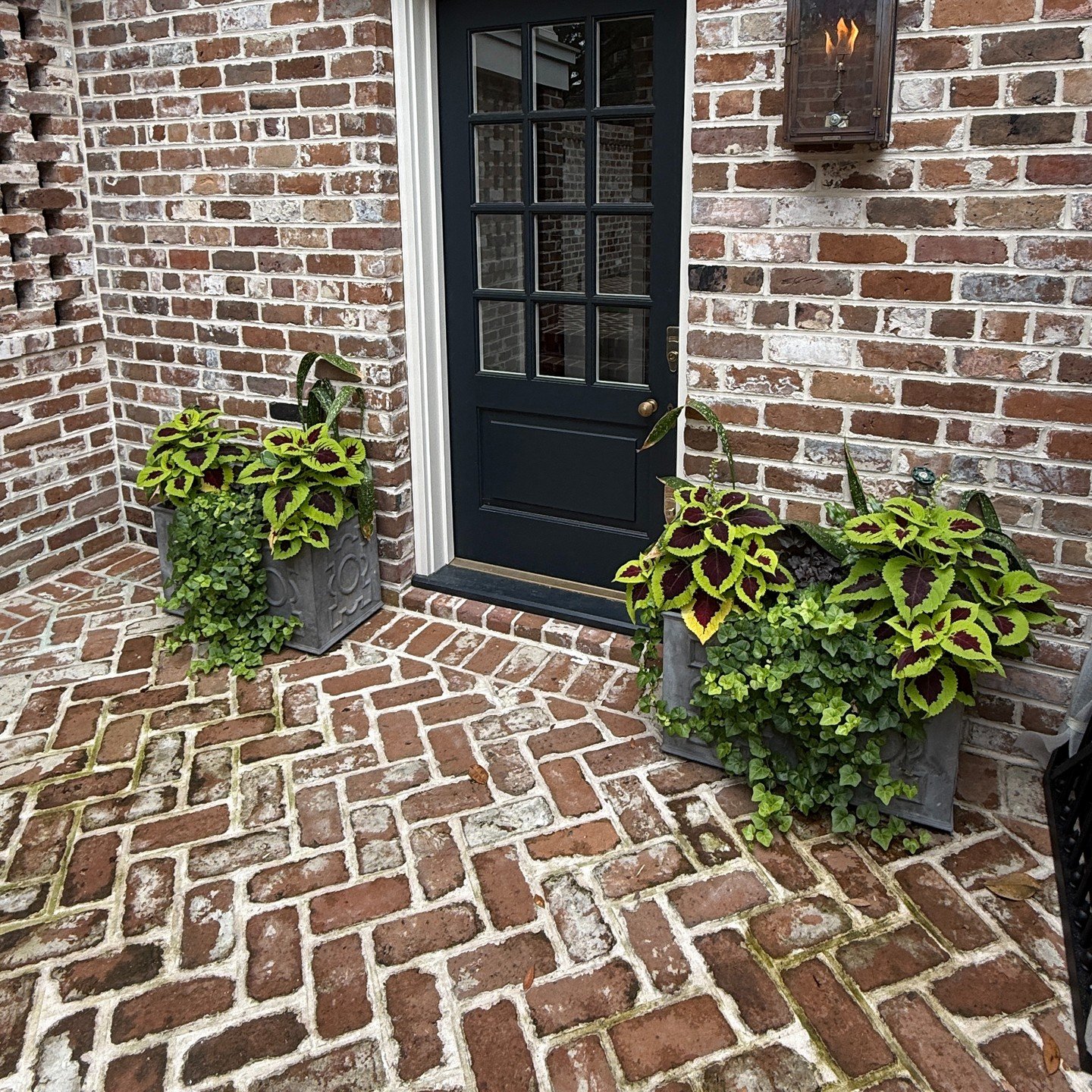 Our Beaumont Planters are a stylish and functional addition to any home's exterior, as seen here in this charming brick patio courtyard.

These planters feature a sophisticated geometric fretwork pattern, available in both large and small sizes. The 