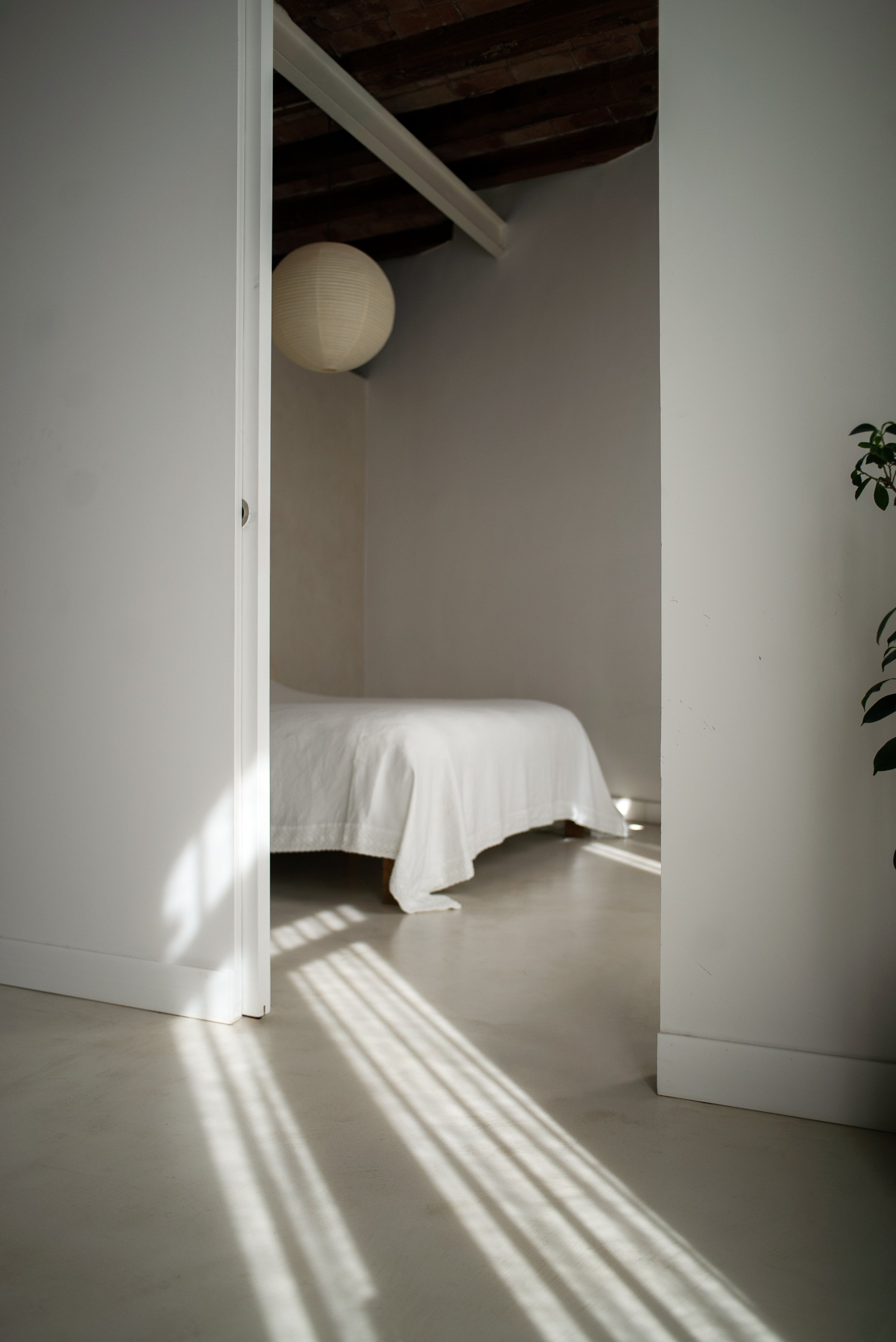 DSC03909-Edit.jpg