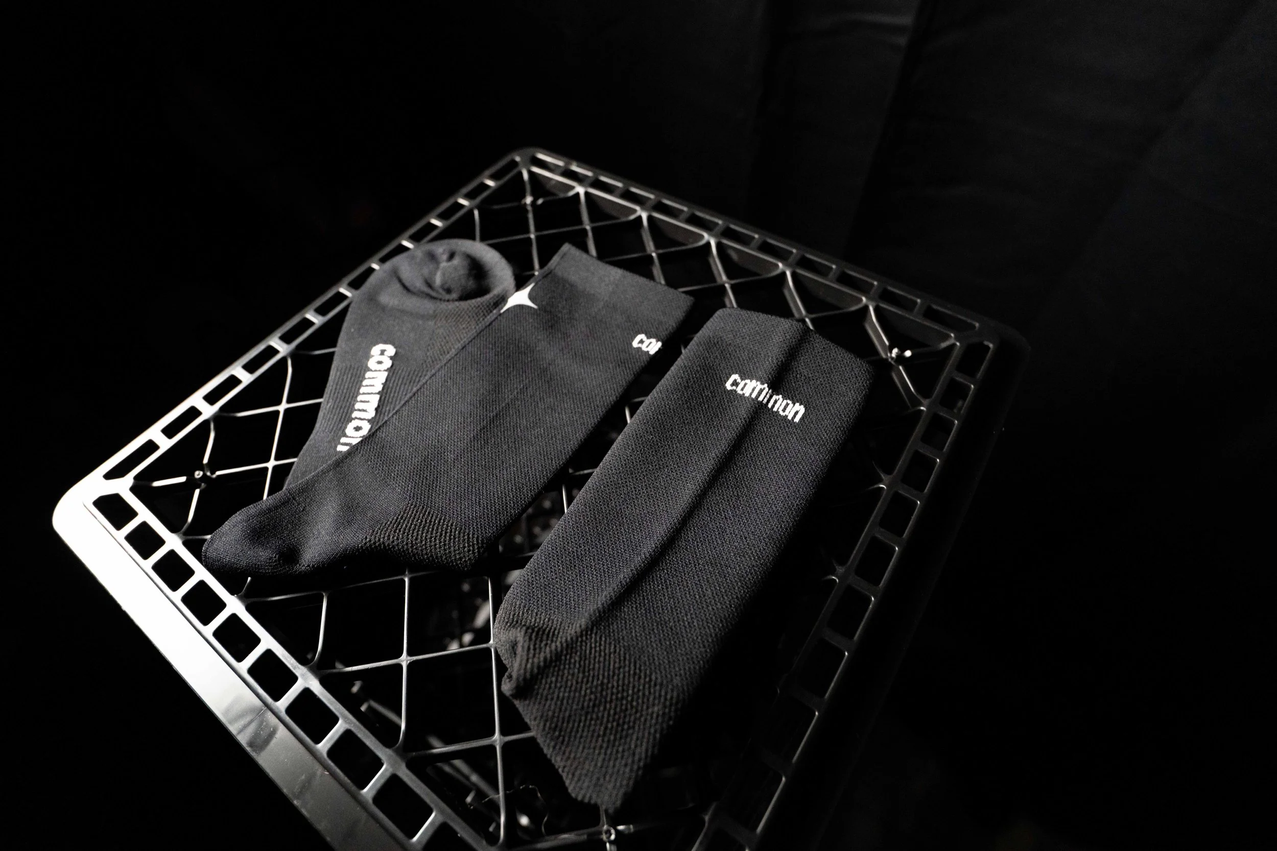 AR502968.jpg