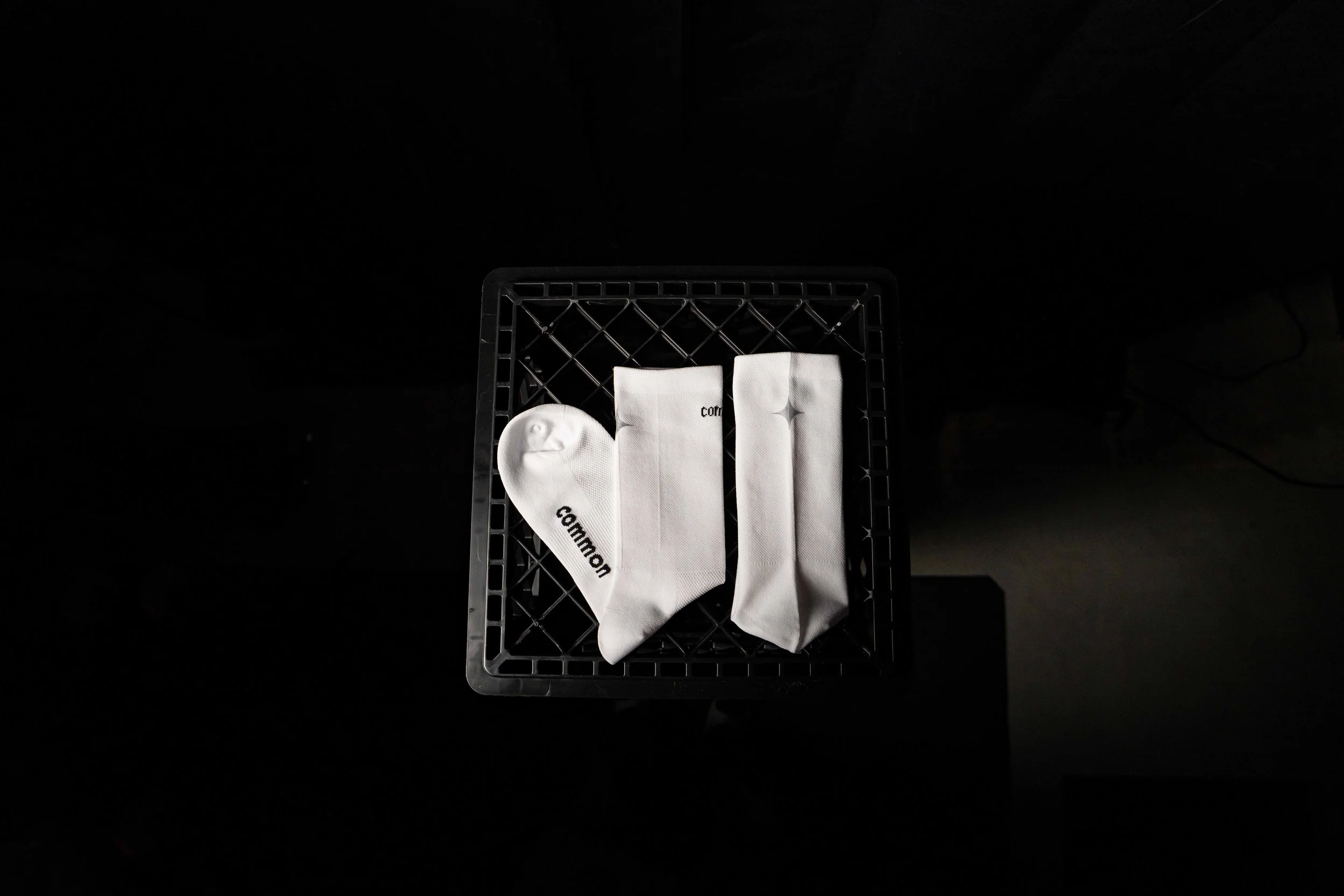 AR502947.jpg