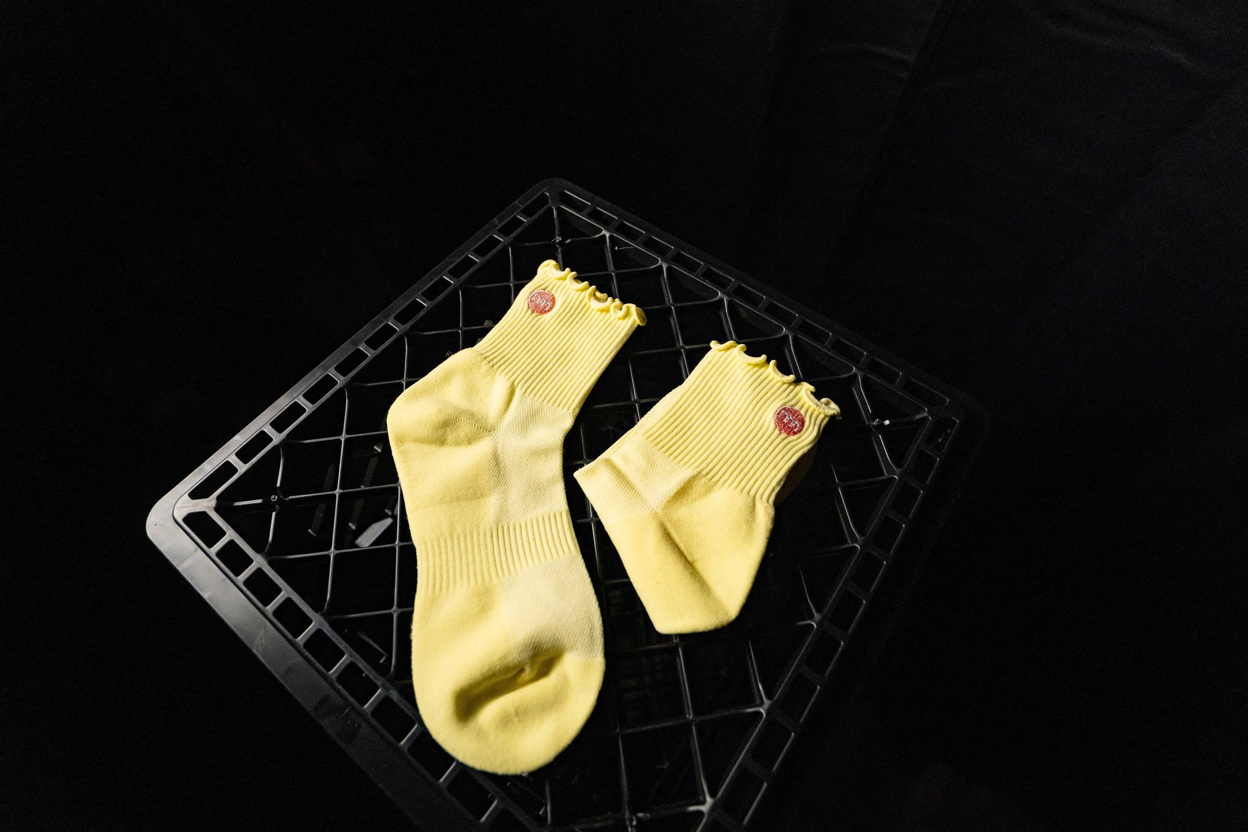 AR502912.jpg