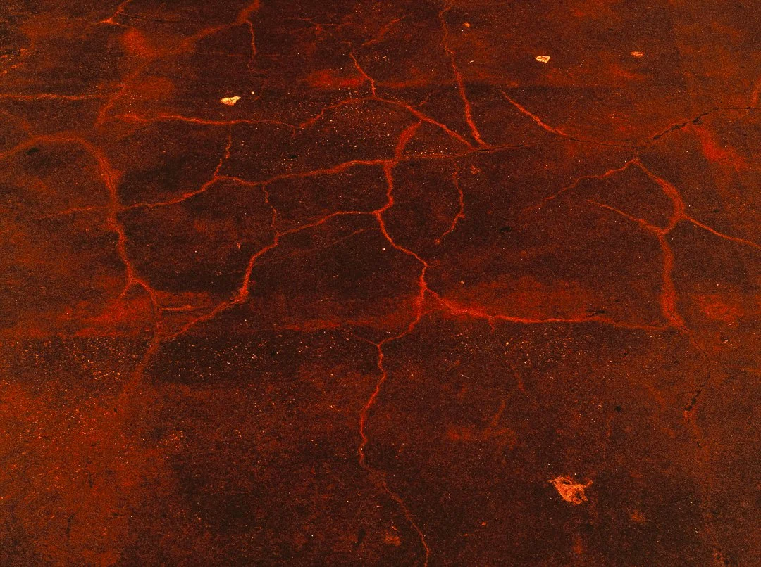 SanderBuekers_Website_FineArt_TEINTE_Album_19.jpg
