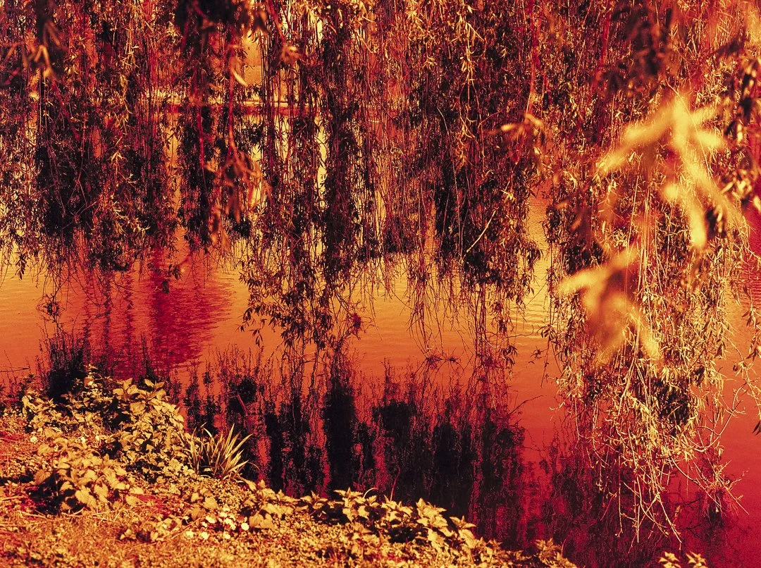 SanderBuekers_Website_FineArt_TEINTE_Album_17.jpg