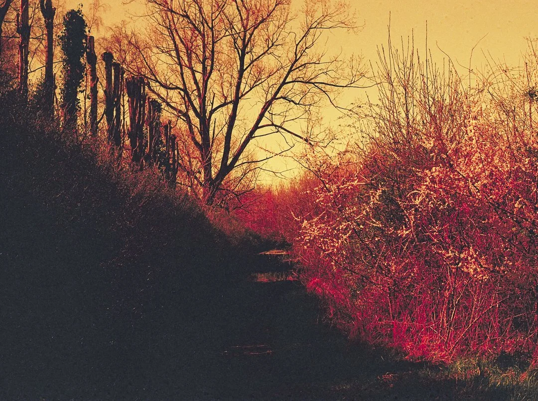 SanderBuekers_Website_FineArt_TEINTE_Album_03.jpg