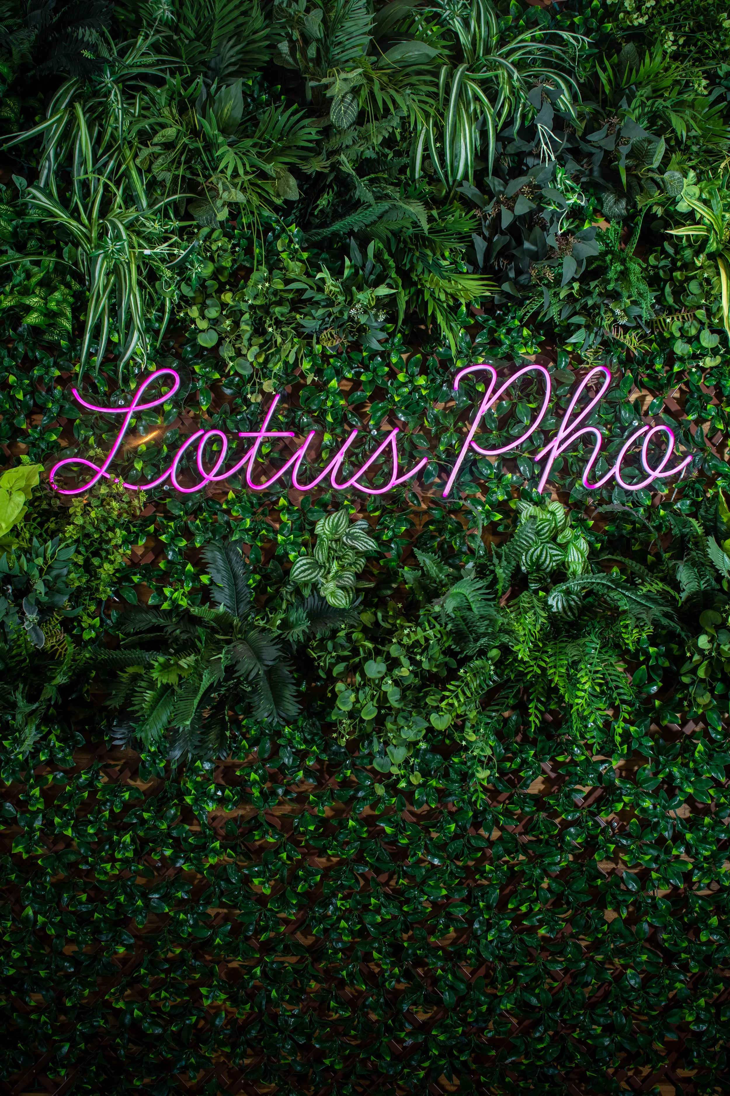LotusPho-1-13.jpg