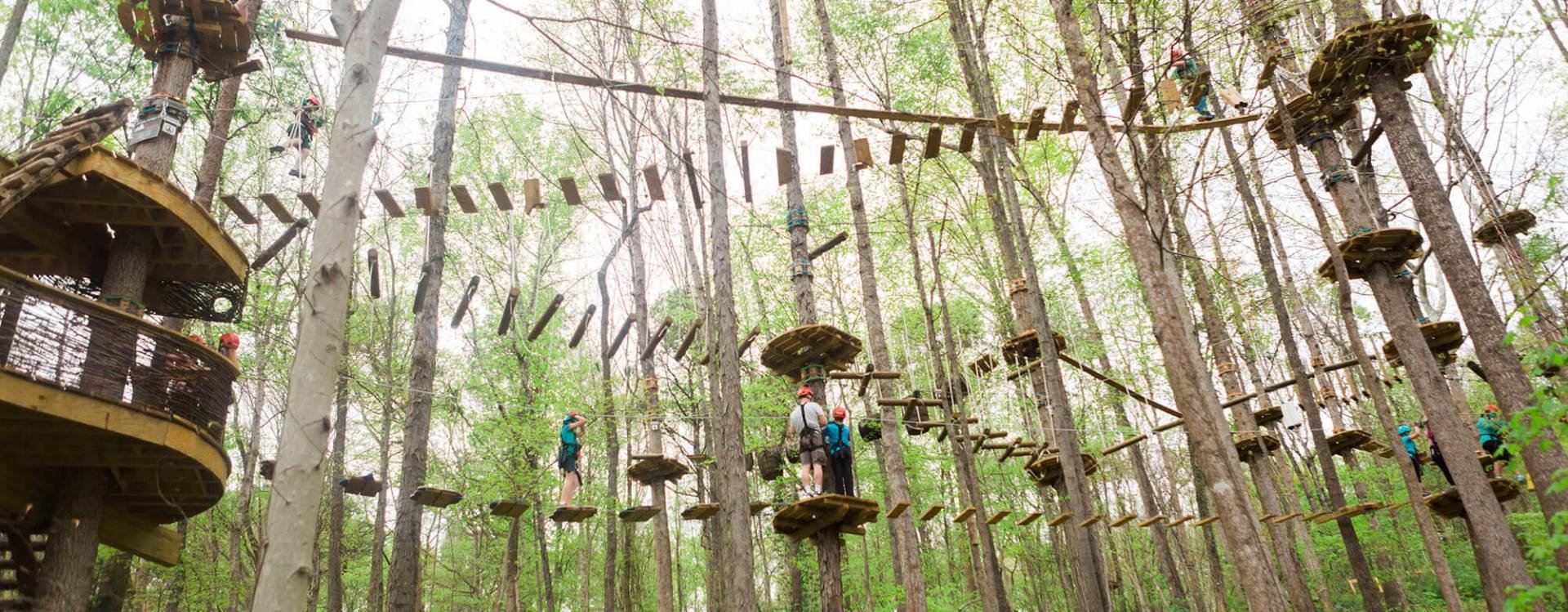 Navitat Aerial Adventure!